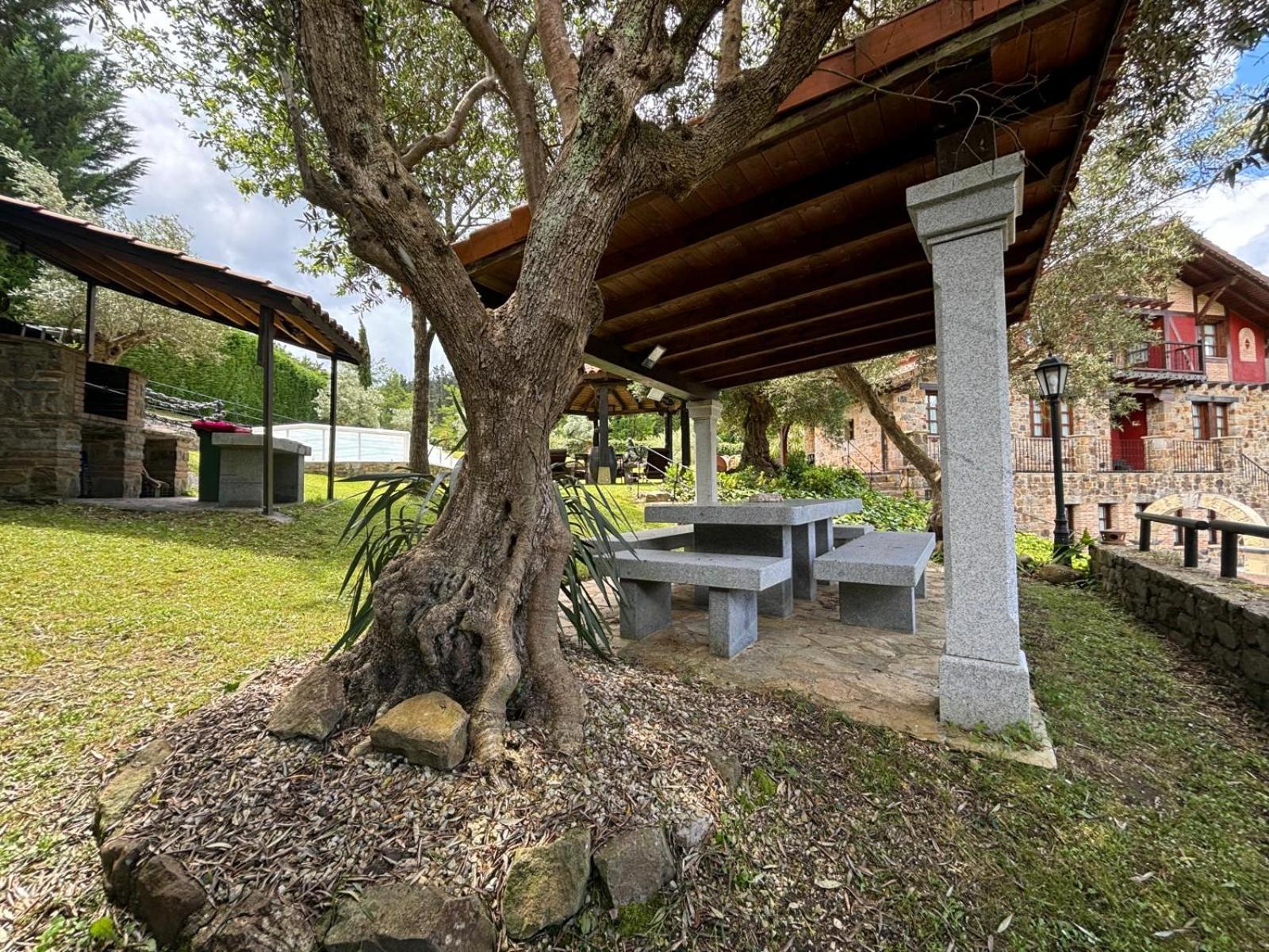 Vivienda turistica jardín con encanto y piscina