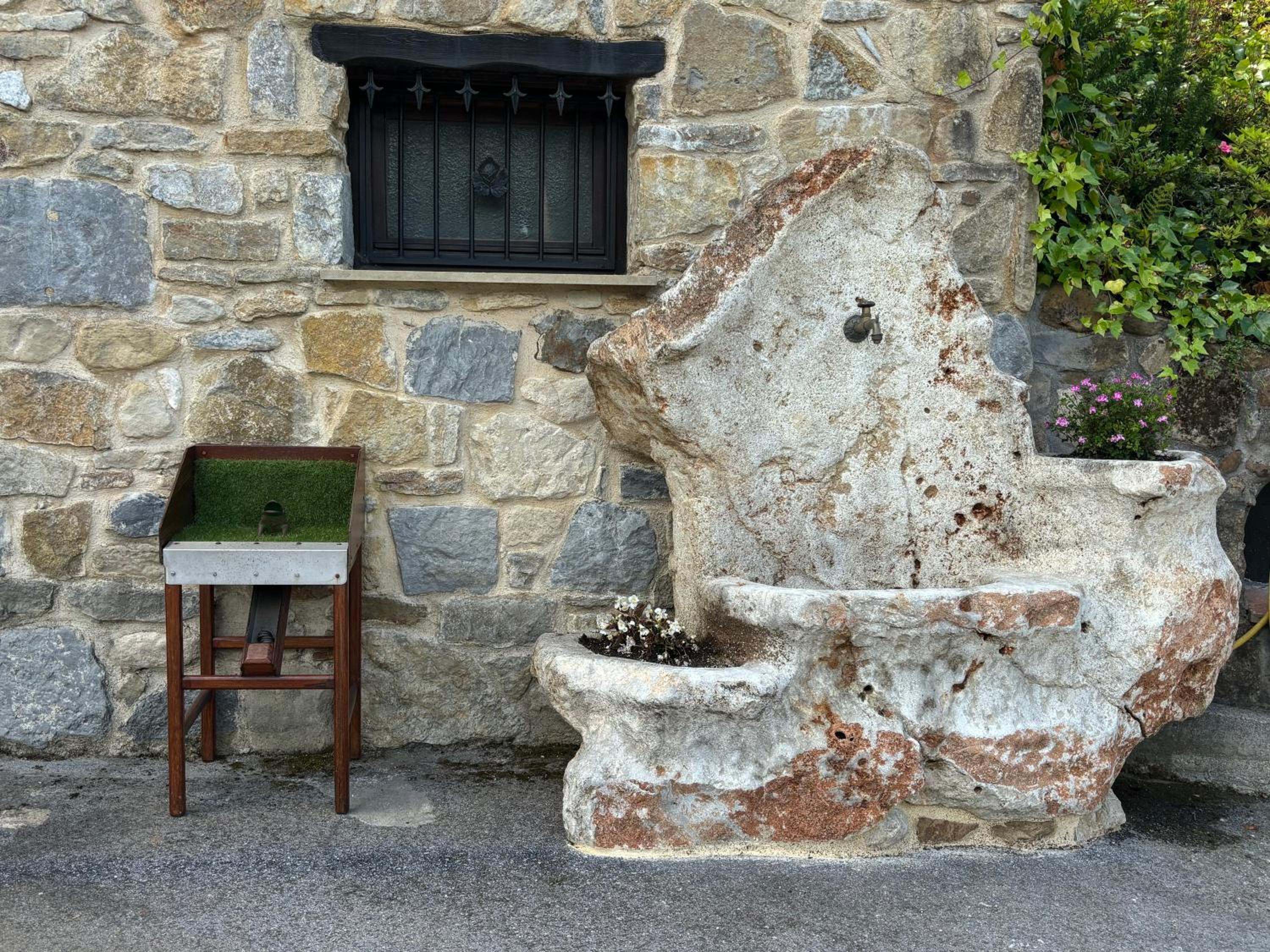 Vivienda turistica jardín con encanto y piscina