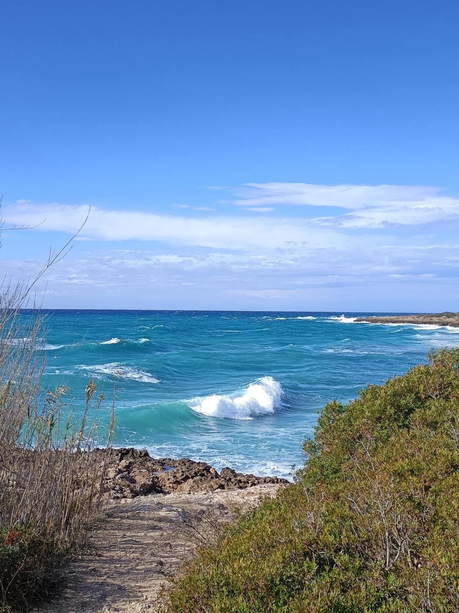 BAIA DELLE AGAVI view 2