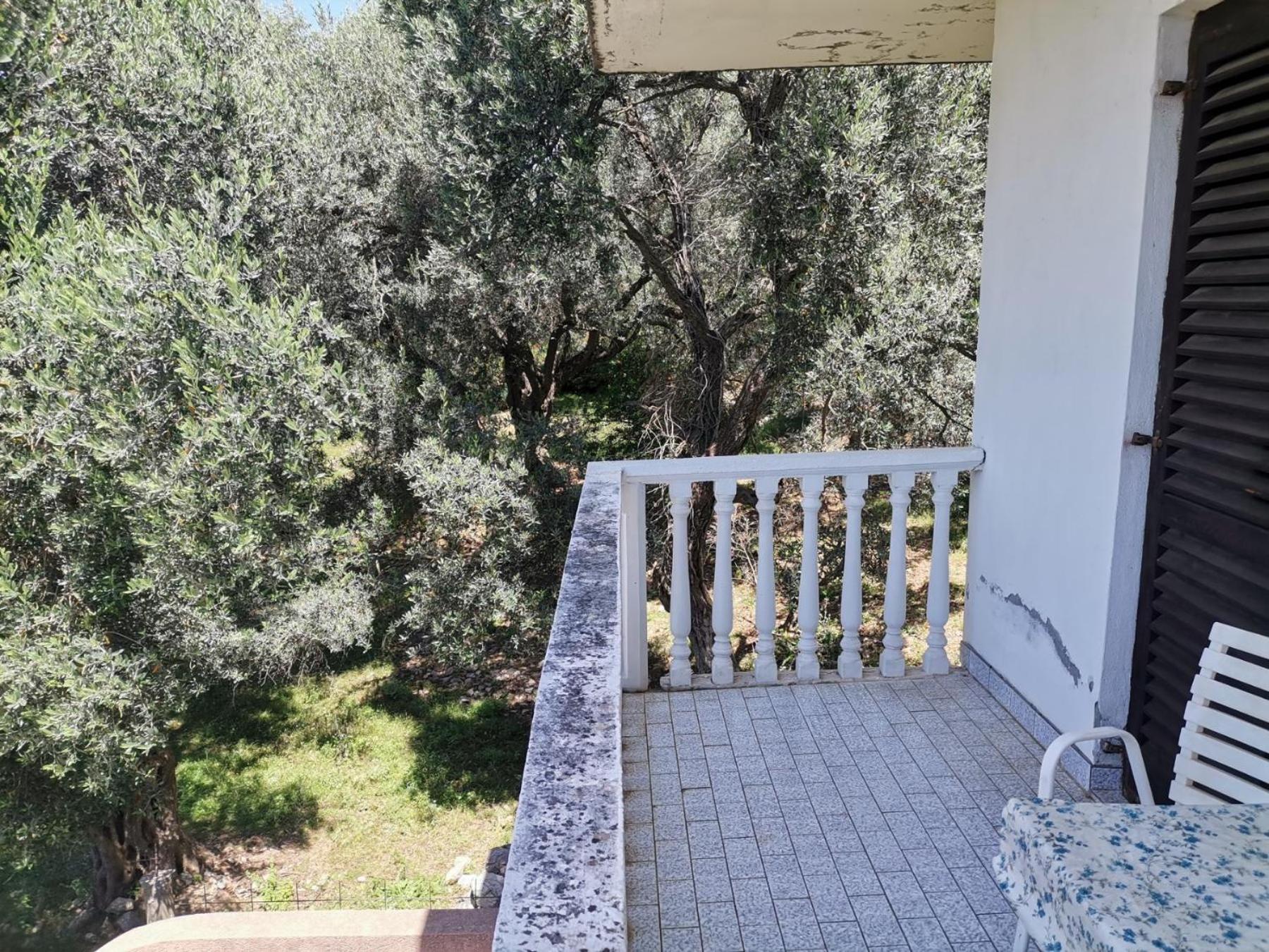 Oliva apartment