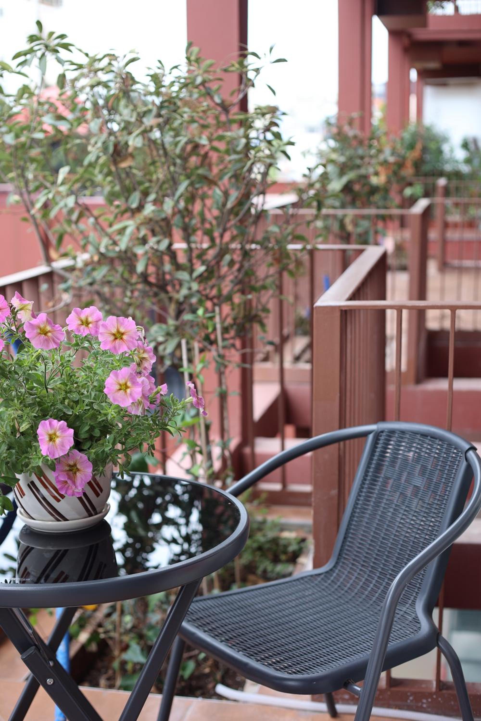 balance & terrace