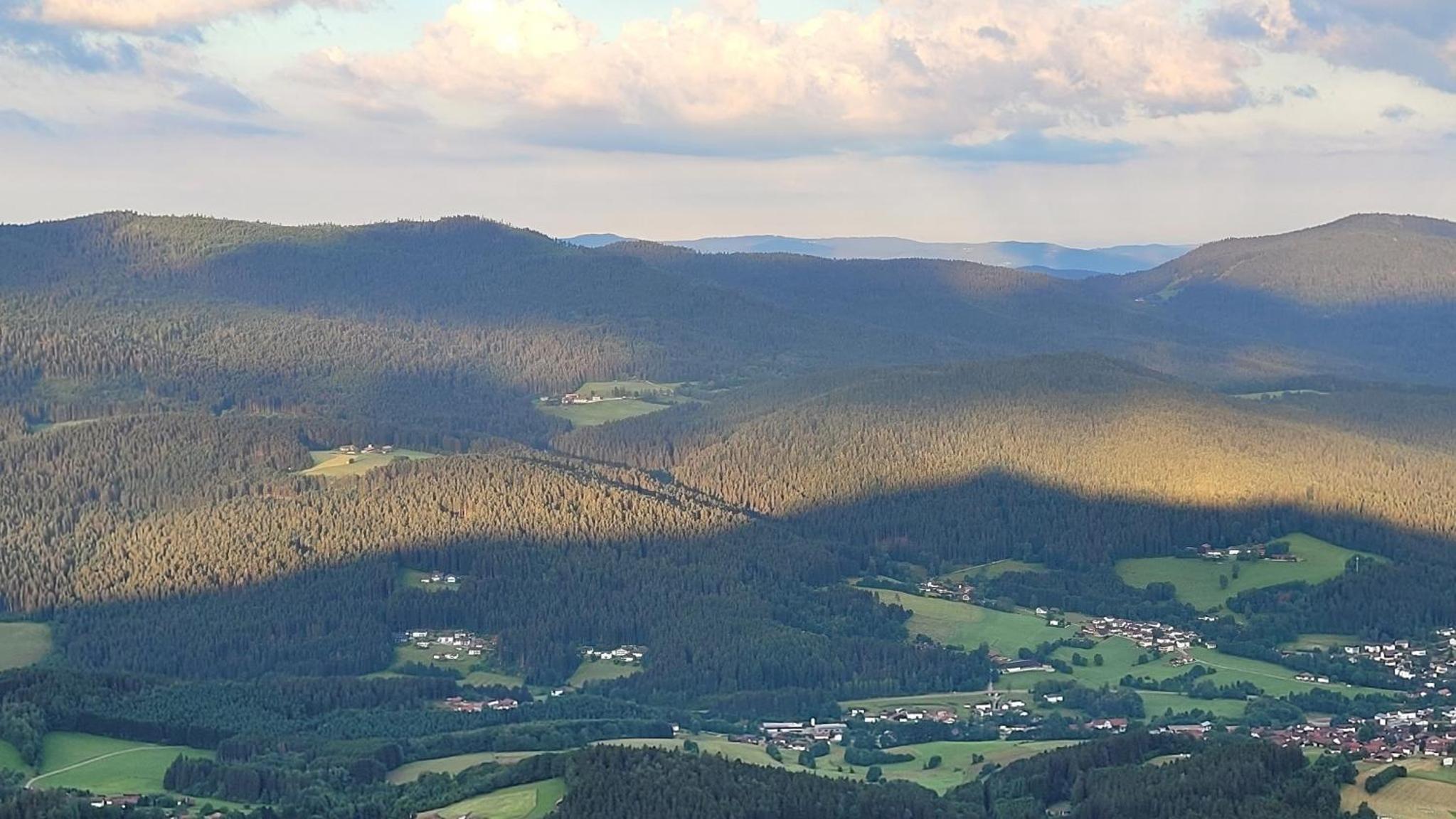 Lieblingsplatz