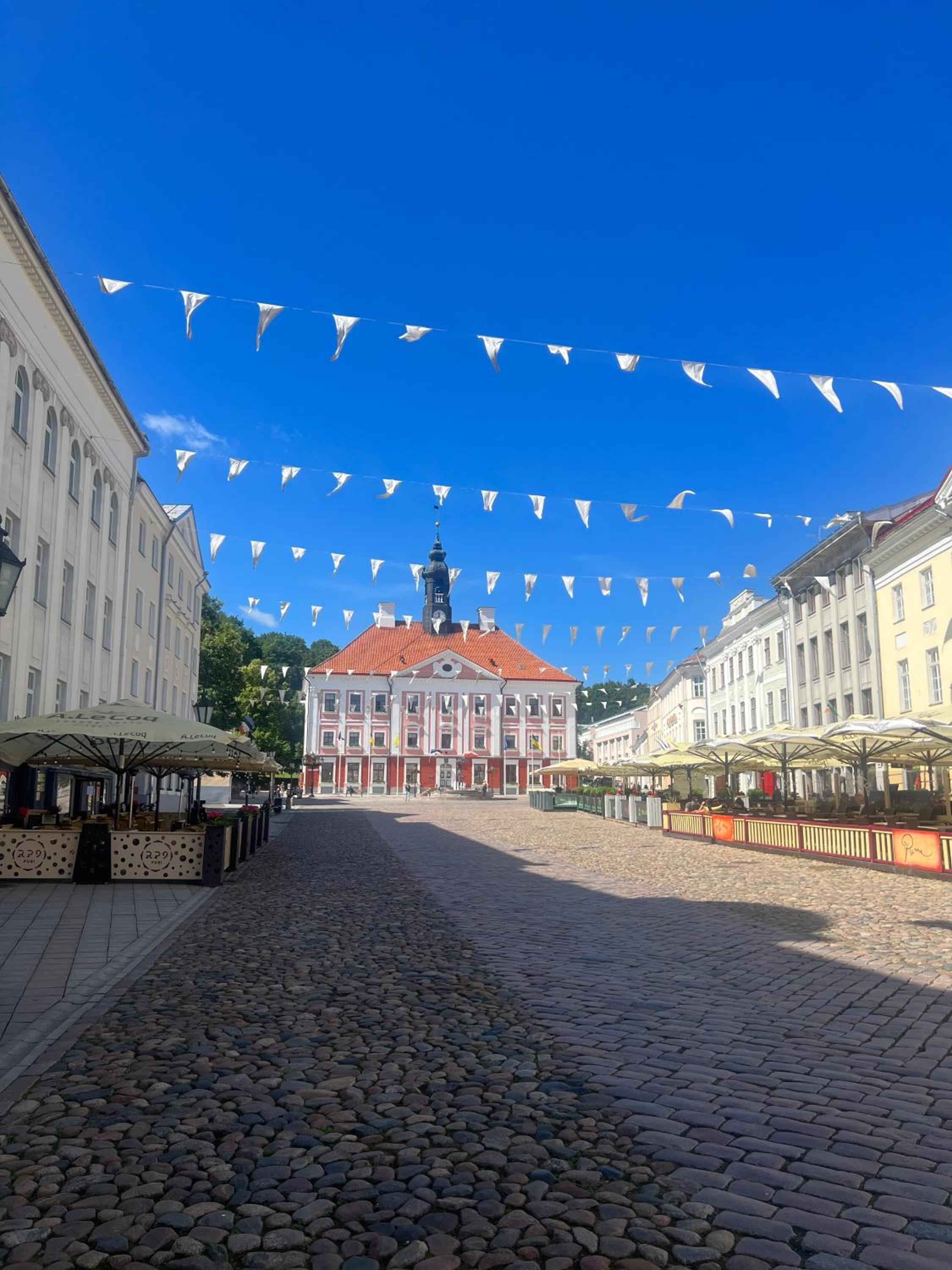 City Panorama with SAUNA