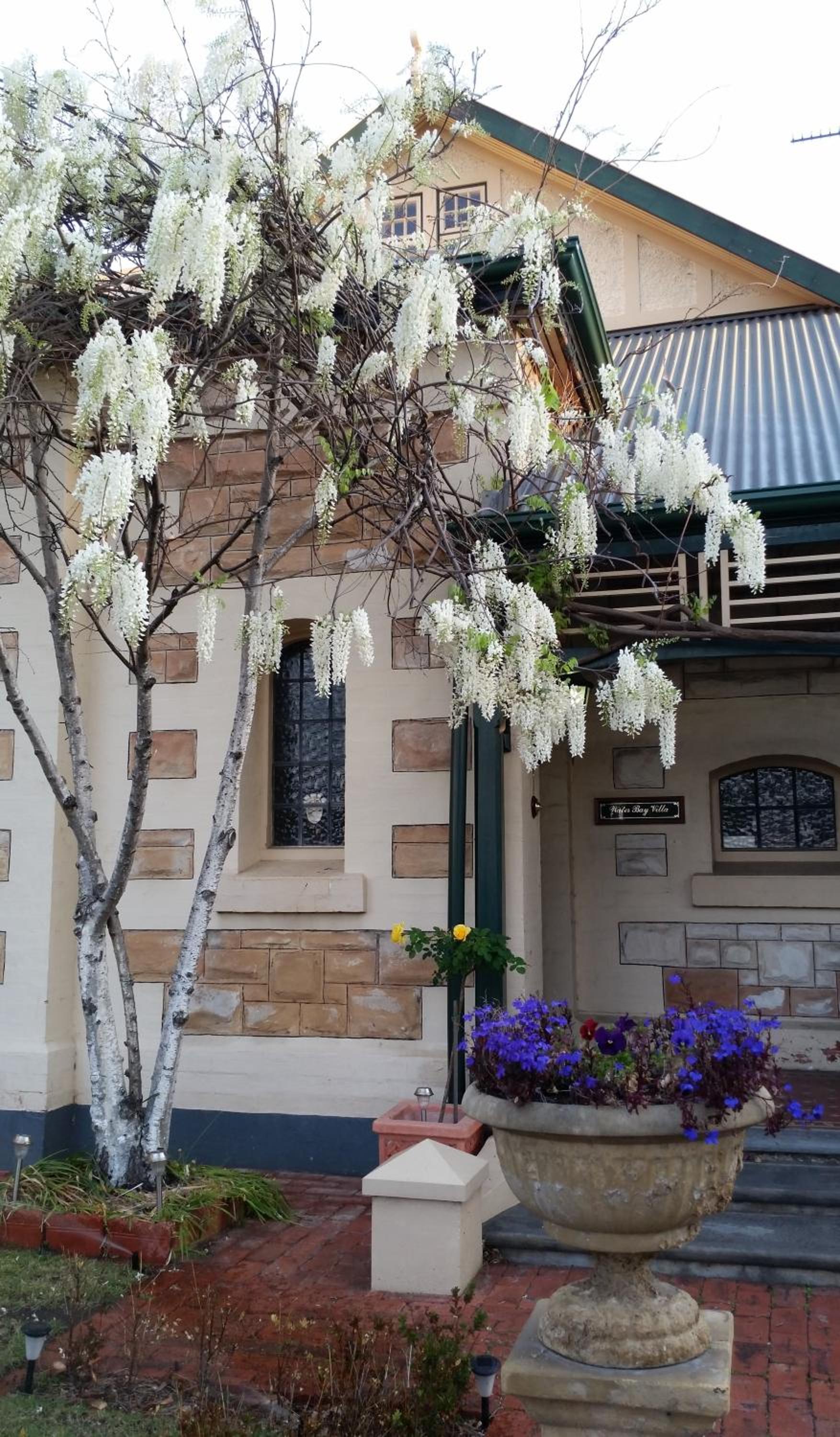 Water Bay Villa Bed & Breakfast