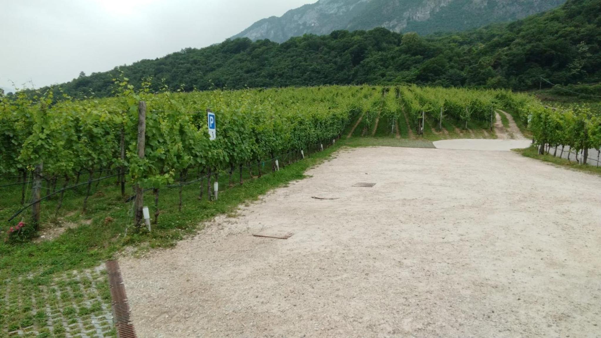 Agriturismo Margone