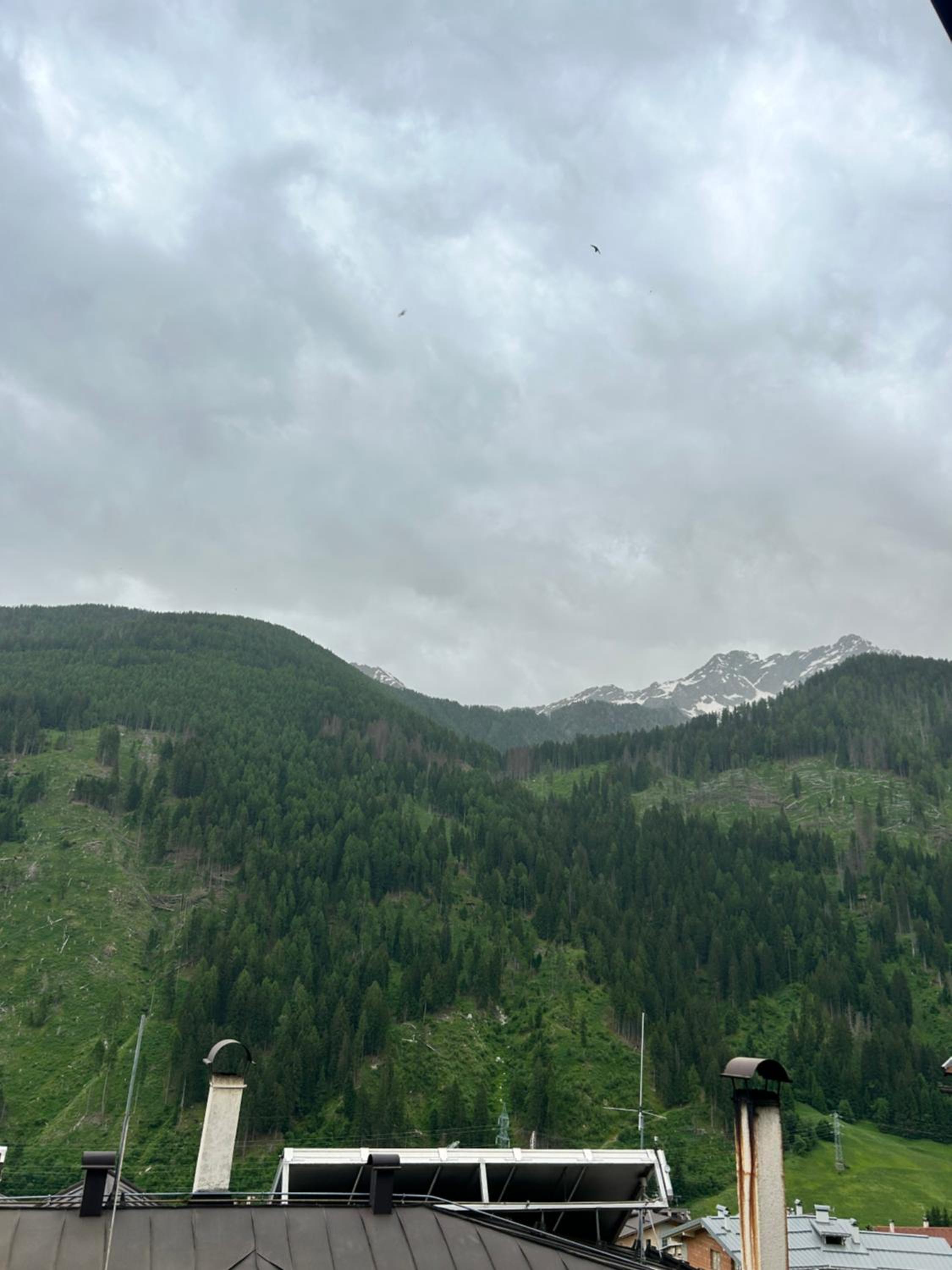 Kuky's Val di Sole Retreat view 3