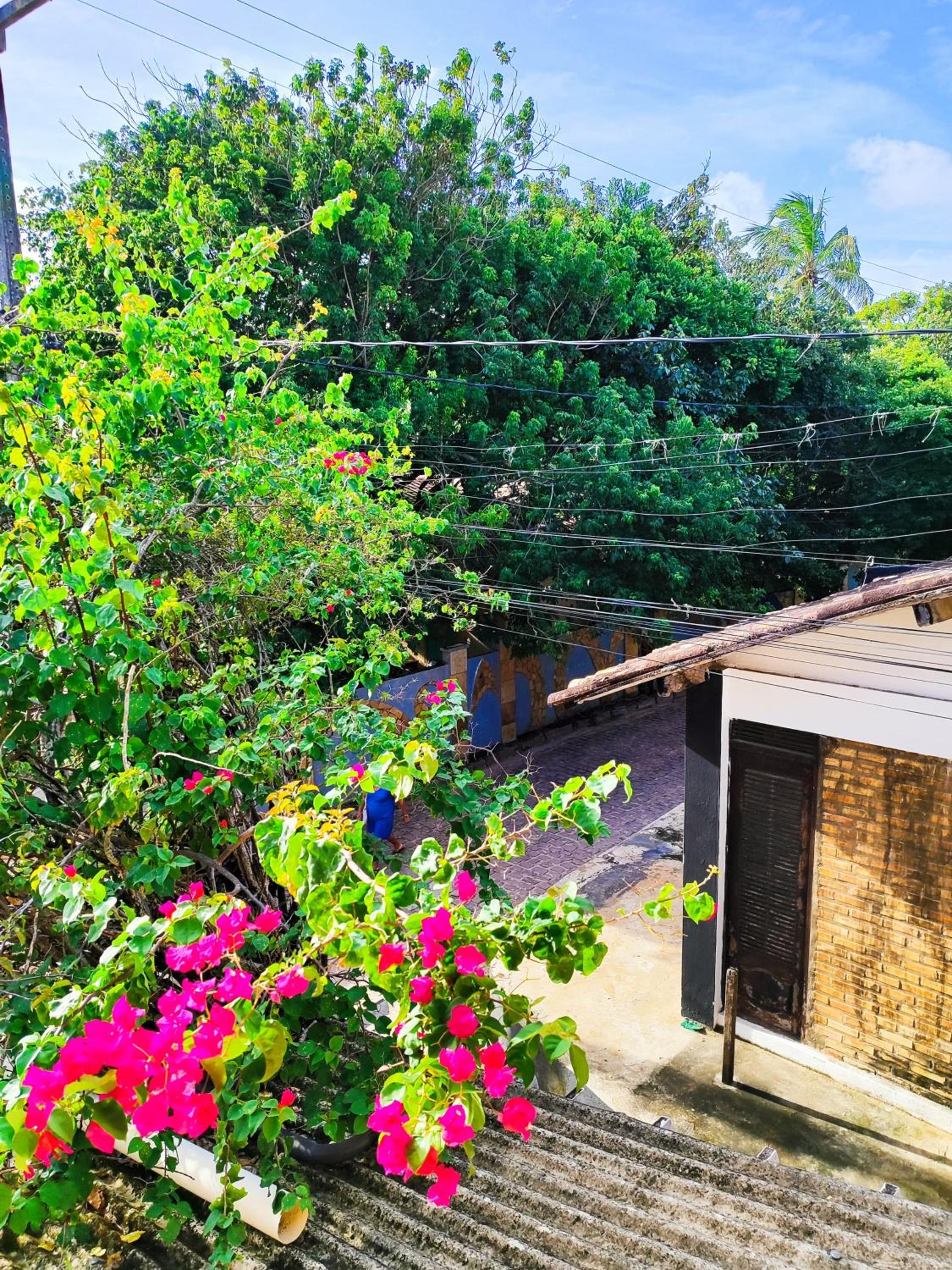 Hostel e Pousada da Rose