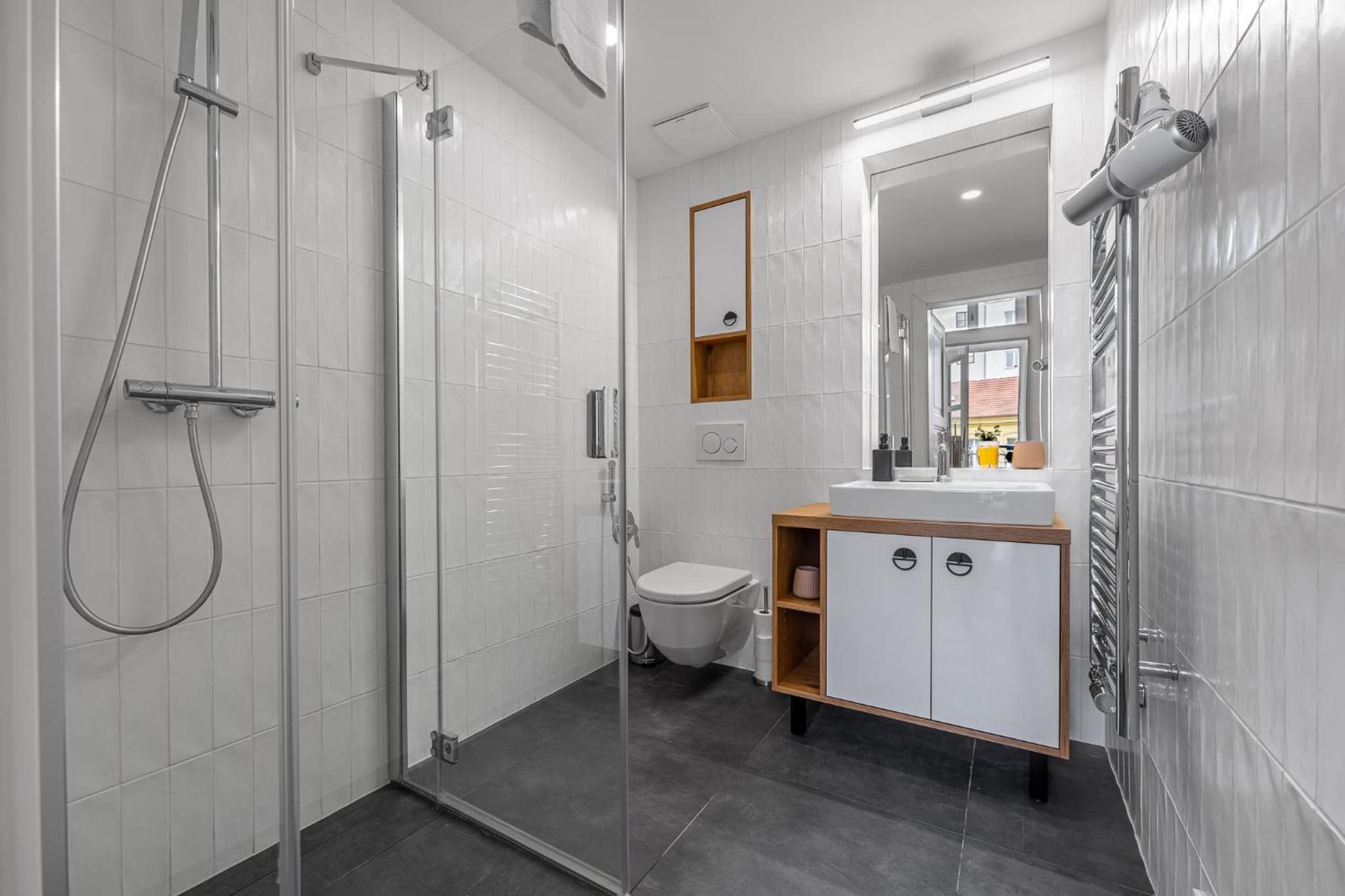 Elegant apartments located in the centre of Prague