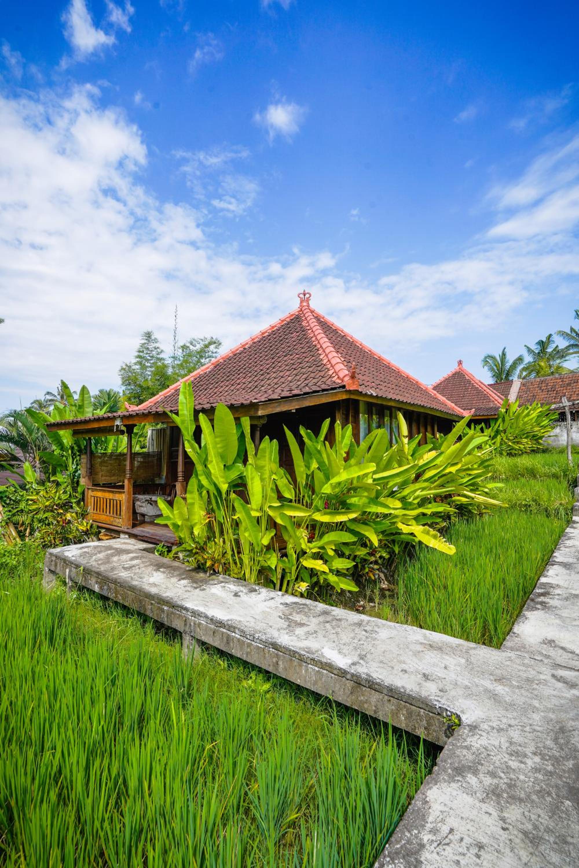 Ubud Sawah Scenery Villa and Homestay