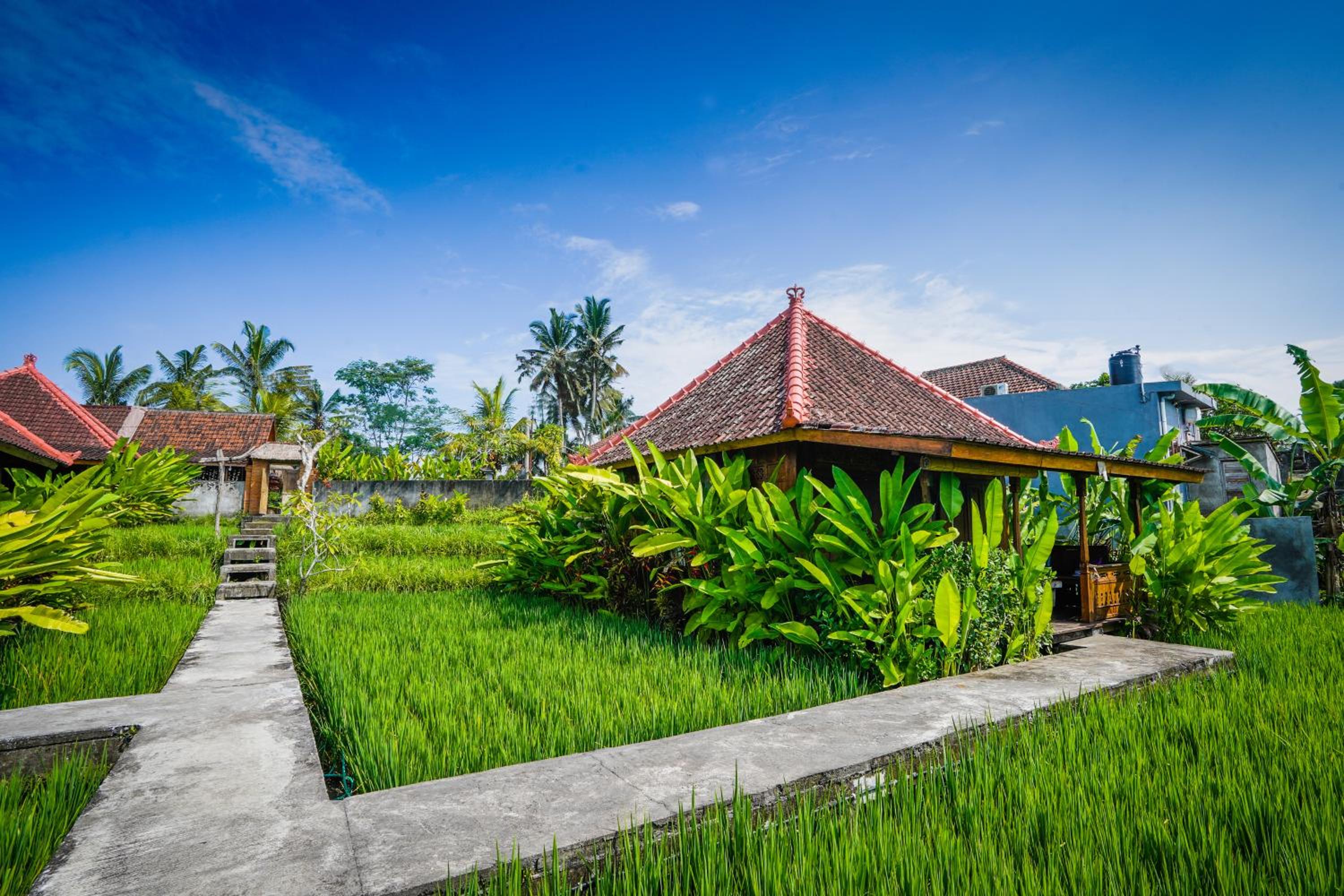 Ubud Sawah Scenery Villa and Homestay