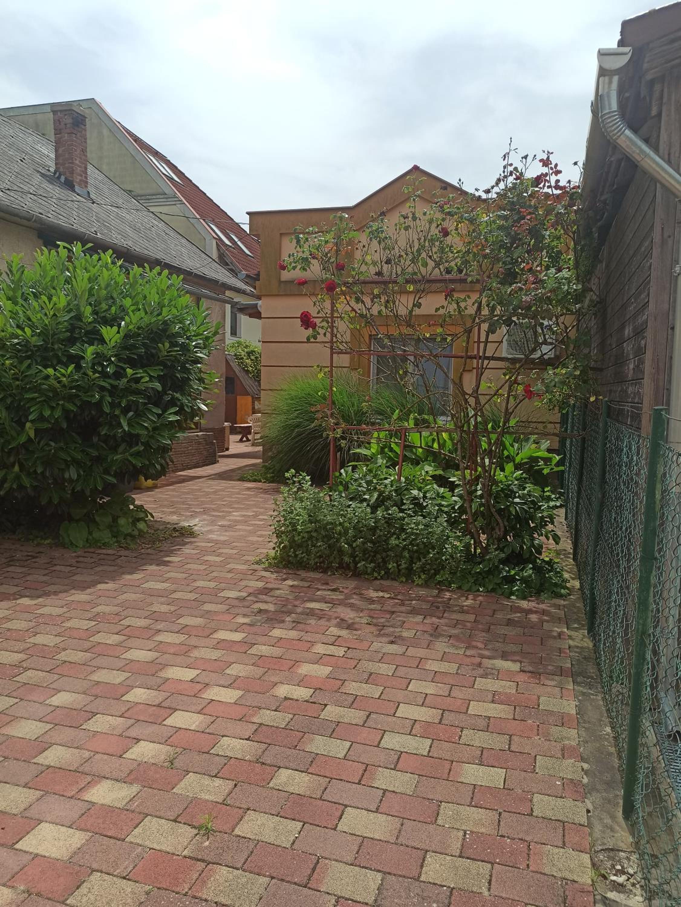 Photo 41
