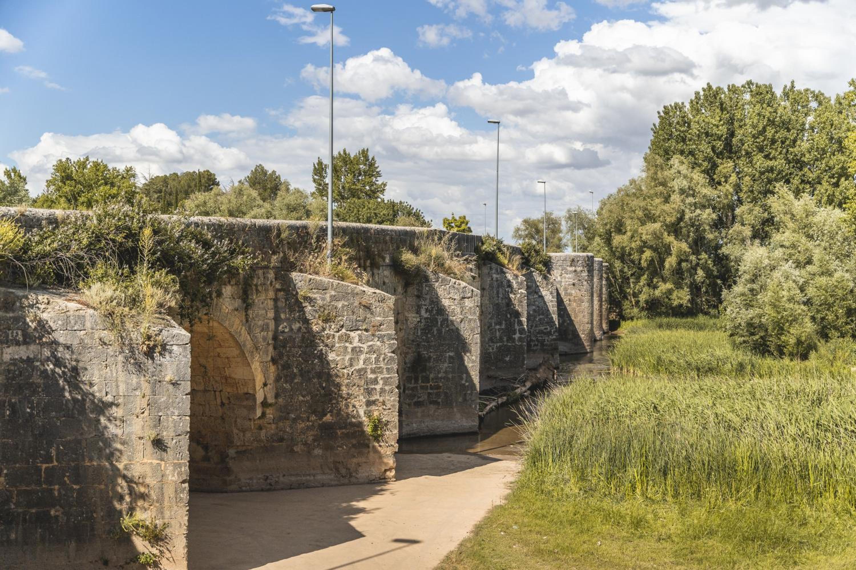 Mirador de Cerrato