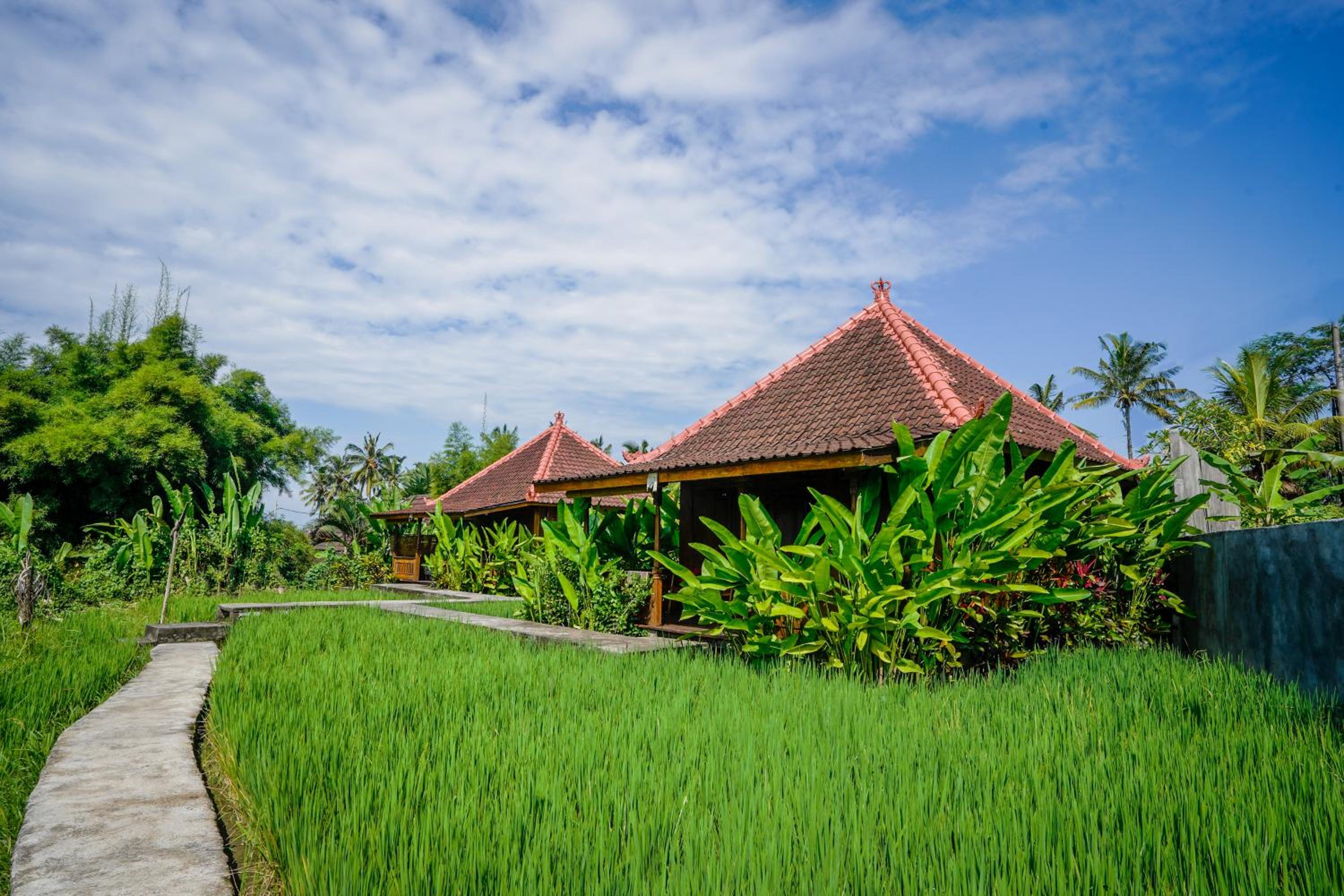 Ubud Sawah Scenery Villa and Homestay