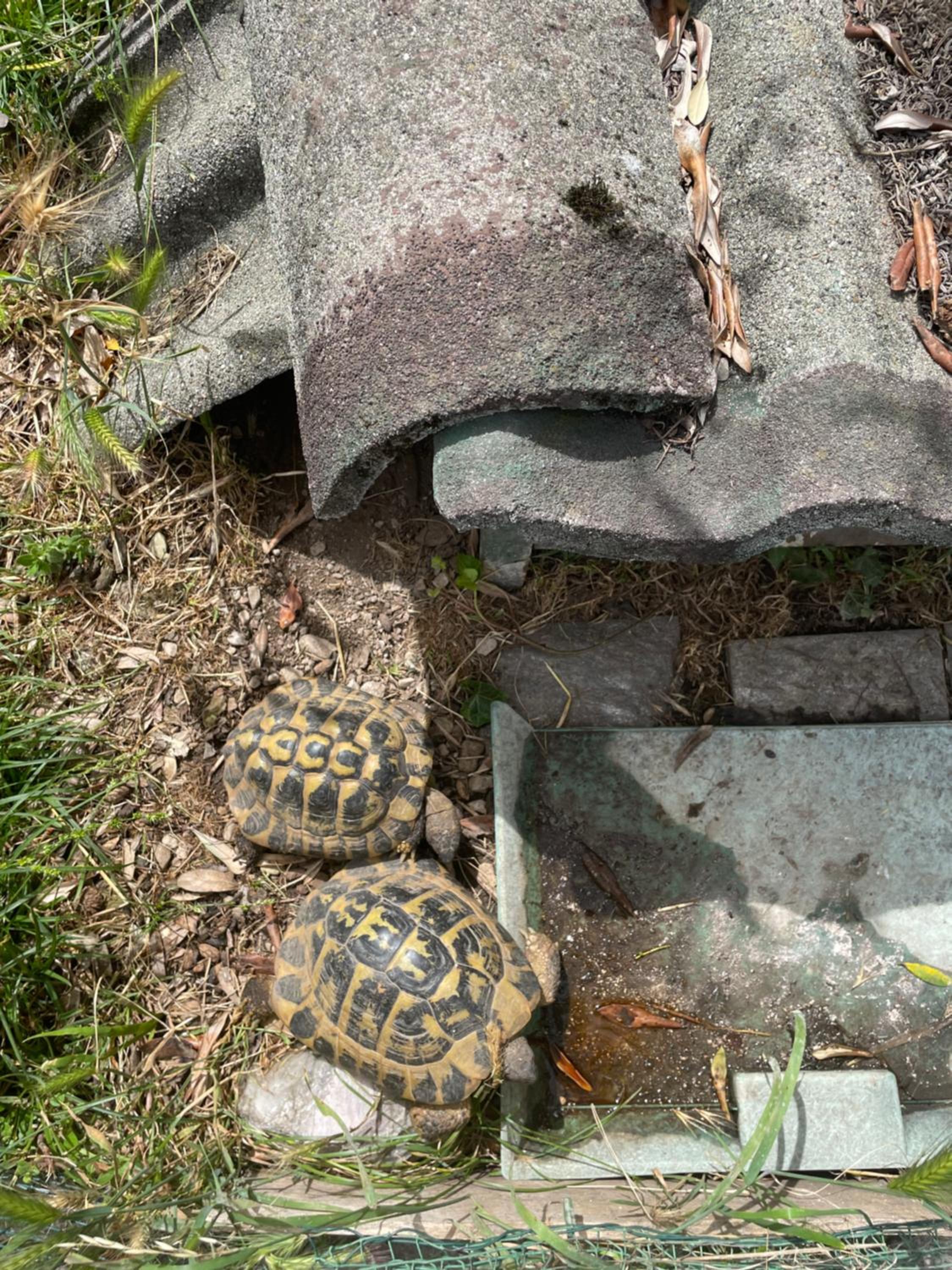 other