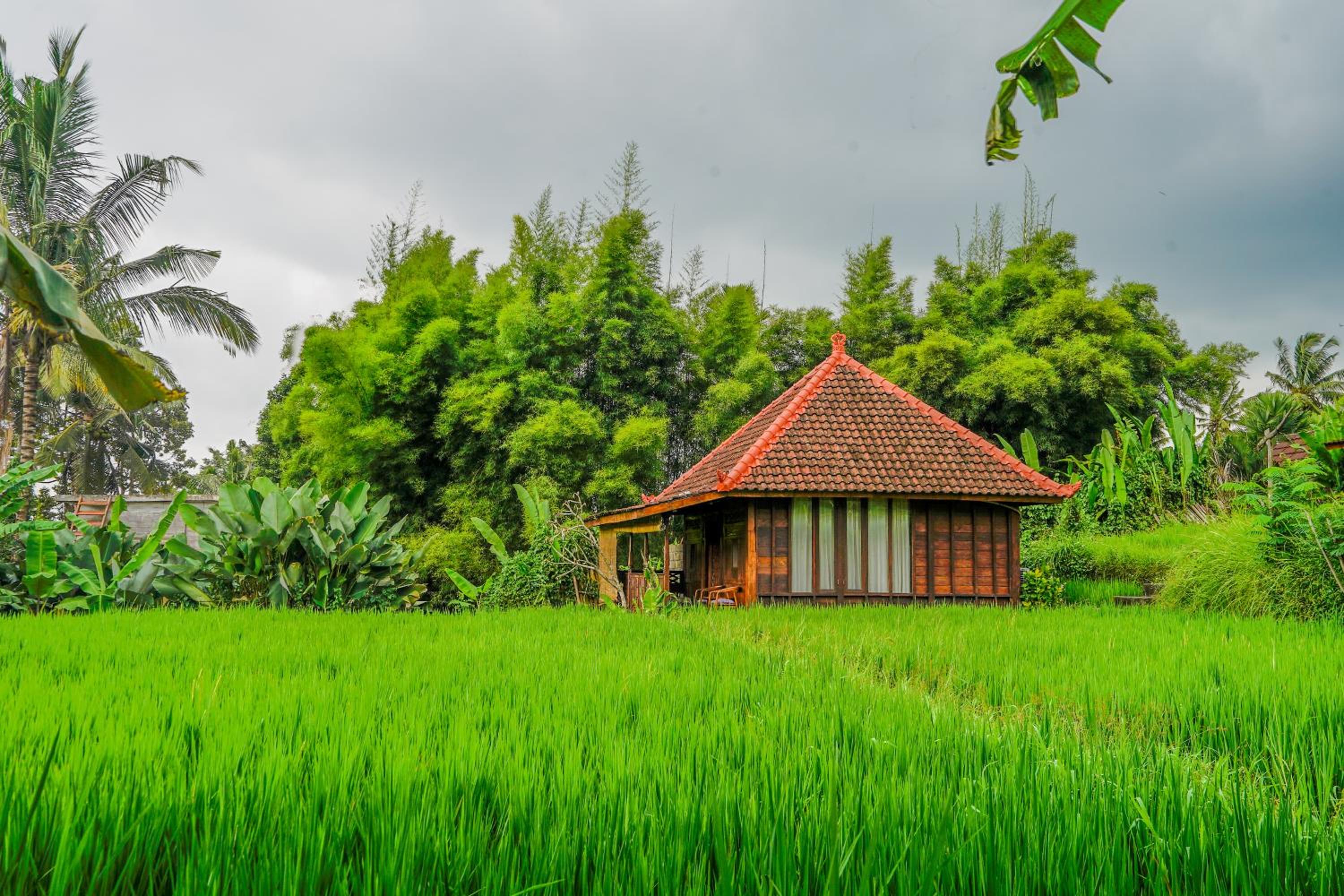 Ubud Sawah Scenery Villa and Homestay