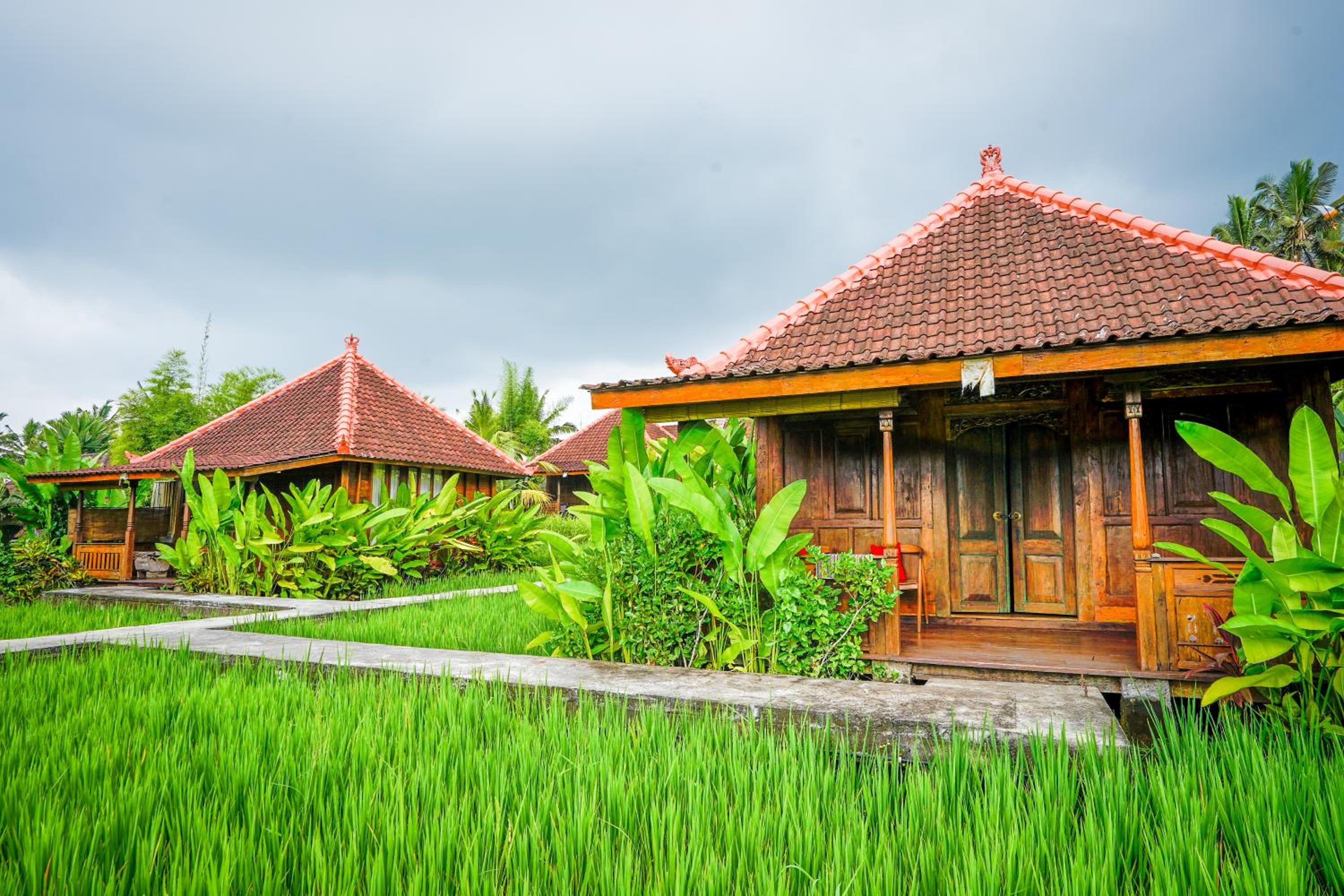 Ubud Sawah Scenery Villa and Homestay