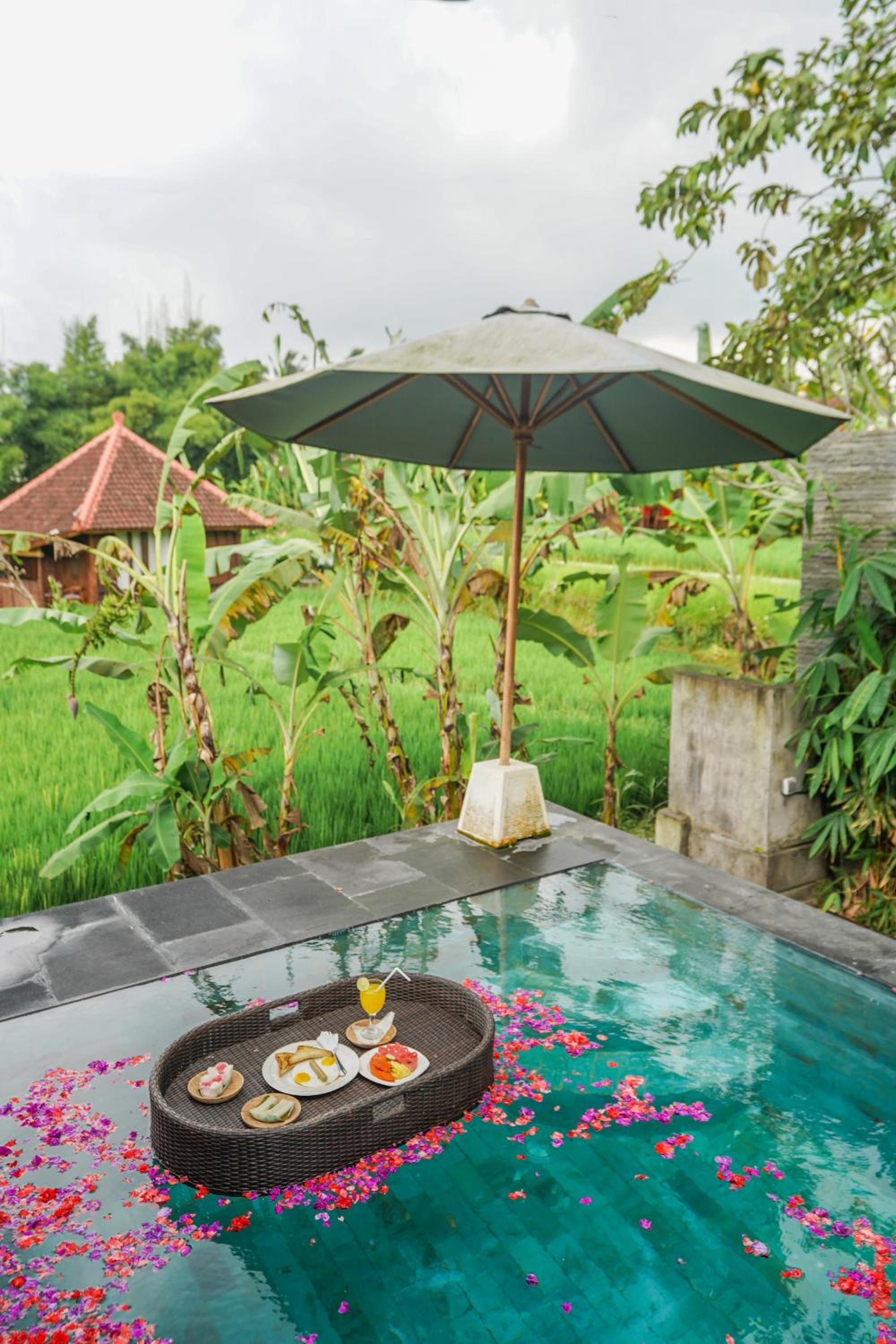 Ubud Sawah Scenery Villa and Homestay