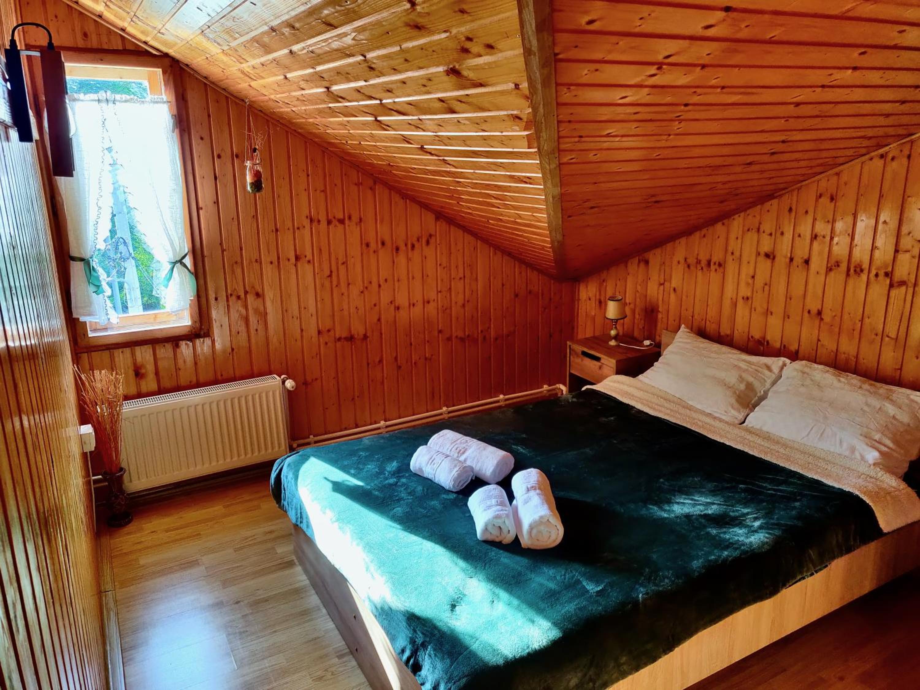 Holiday House Valiug