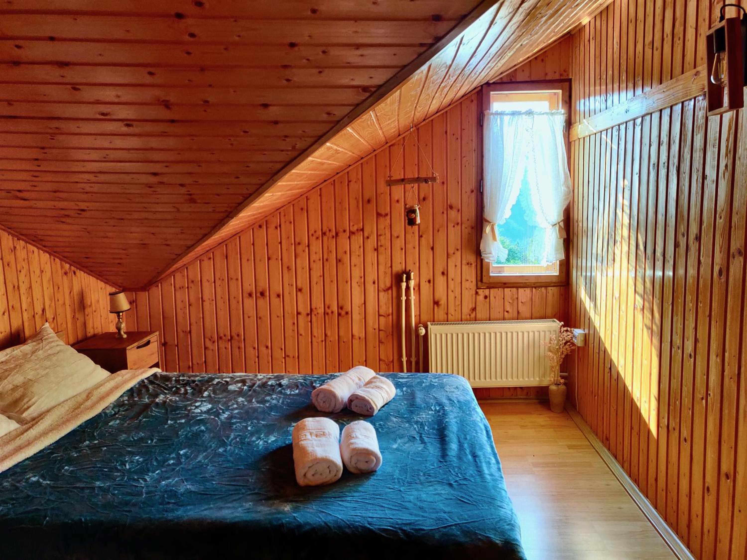 Holiday House Valiug