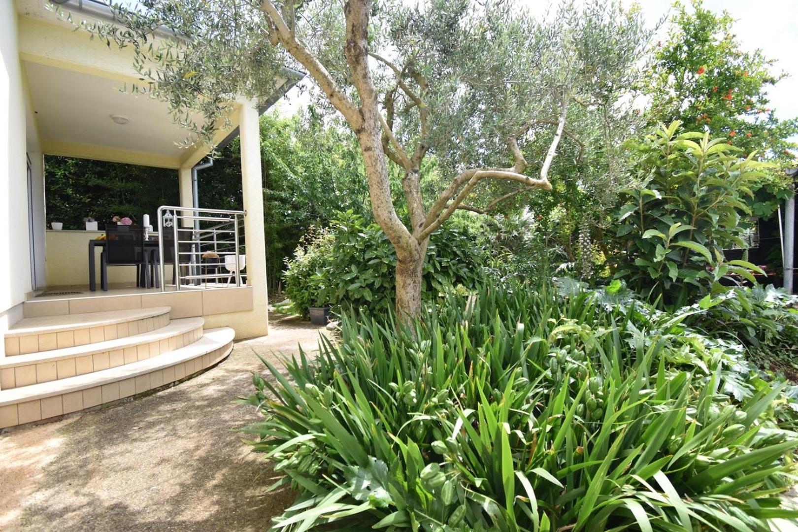 Holiday House with garden "Nena" view 5