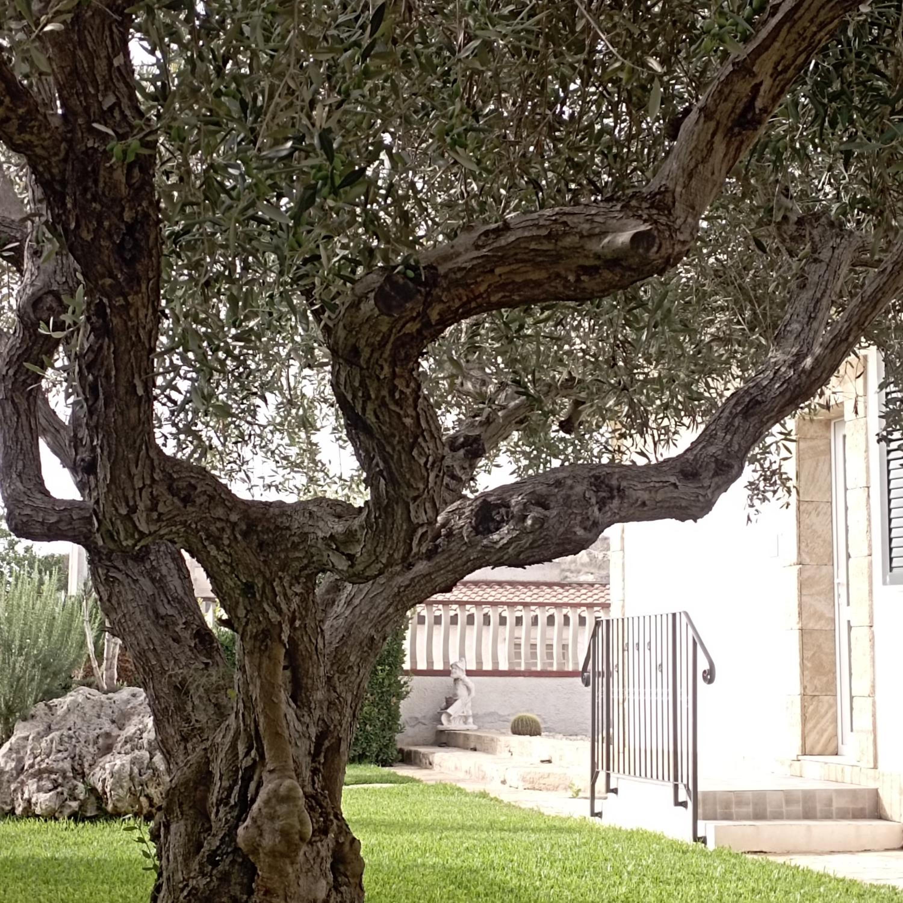 La casetta di viale Paradiso view 4
