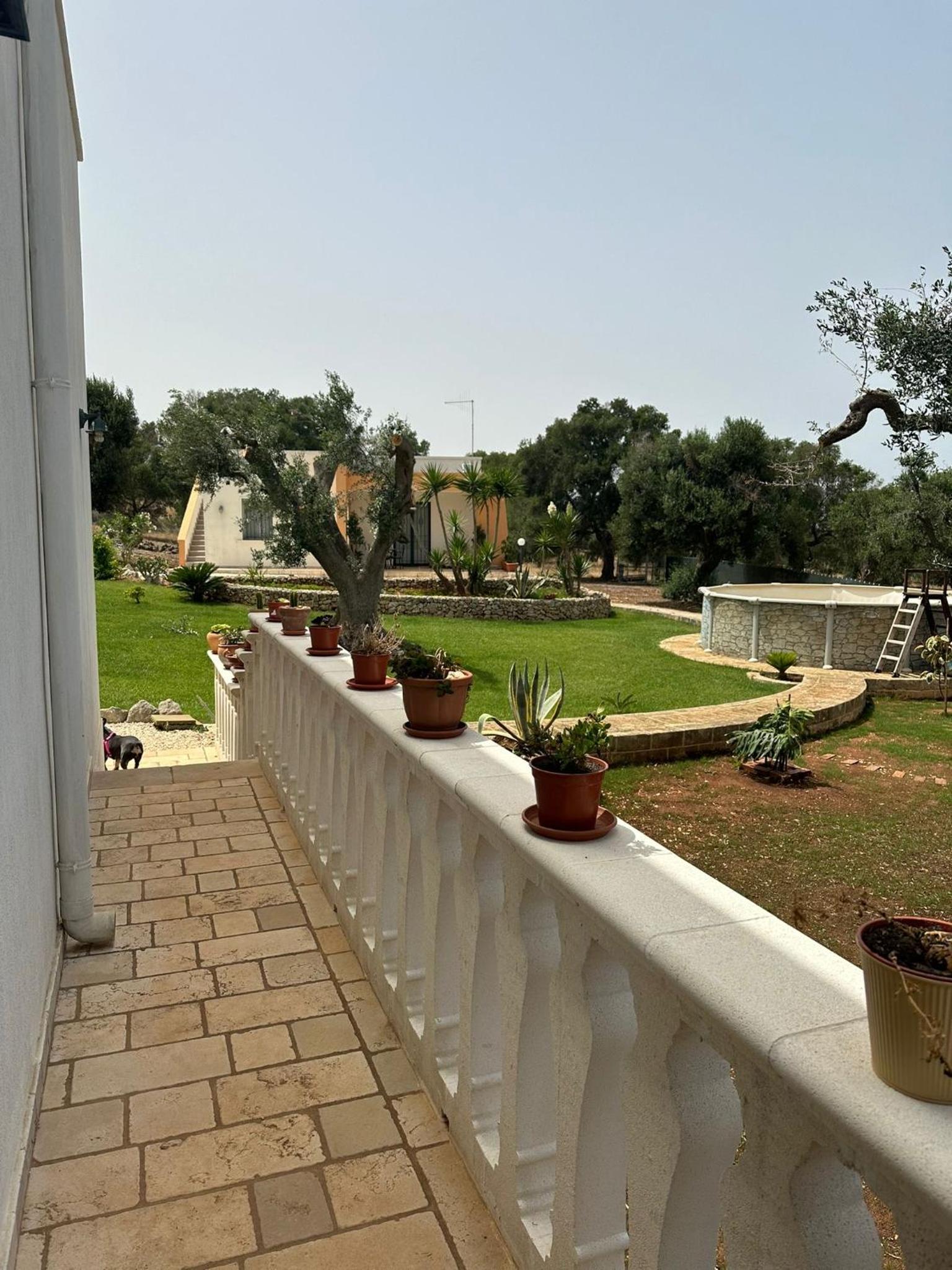 Villa mara photo 4