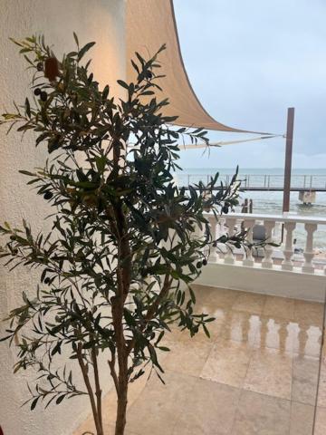 Hotel Restaurant Juanito Platja, photo 36