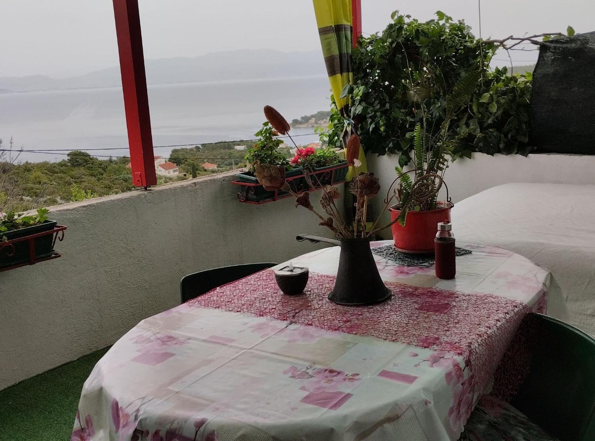 Apartment Dario Šolta