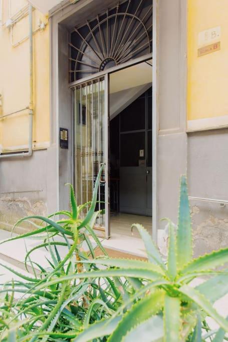 MANN House Napoli