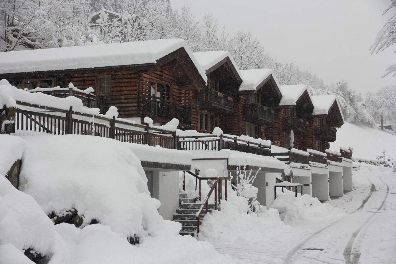 Schöneben Haus Alpenglöckchen