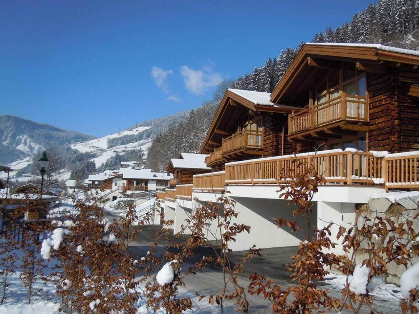 Schöneben Haus Arnika