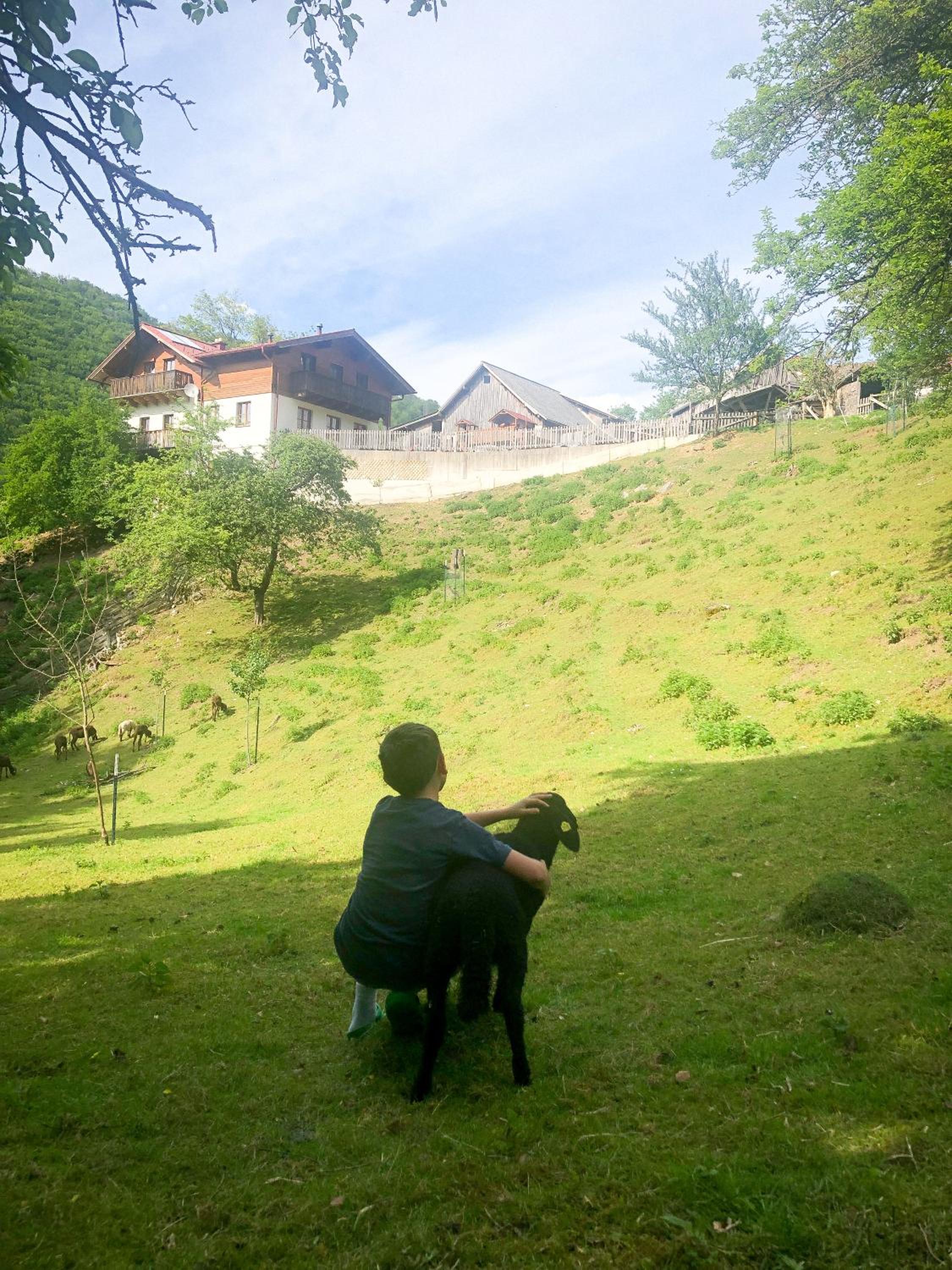 Büchlhof - App. Breitenstein