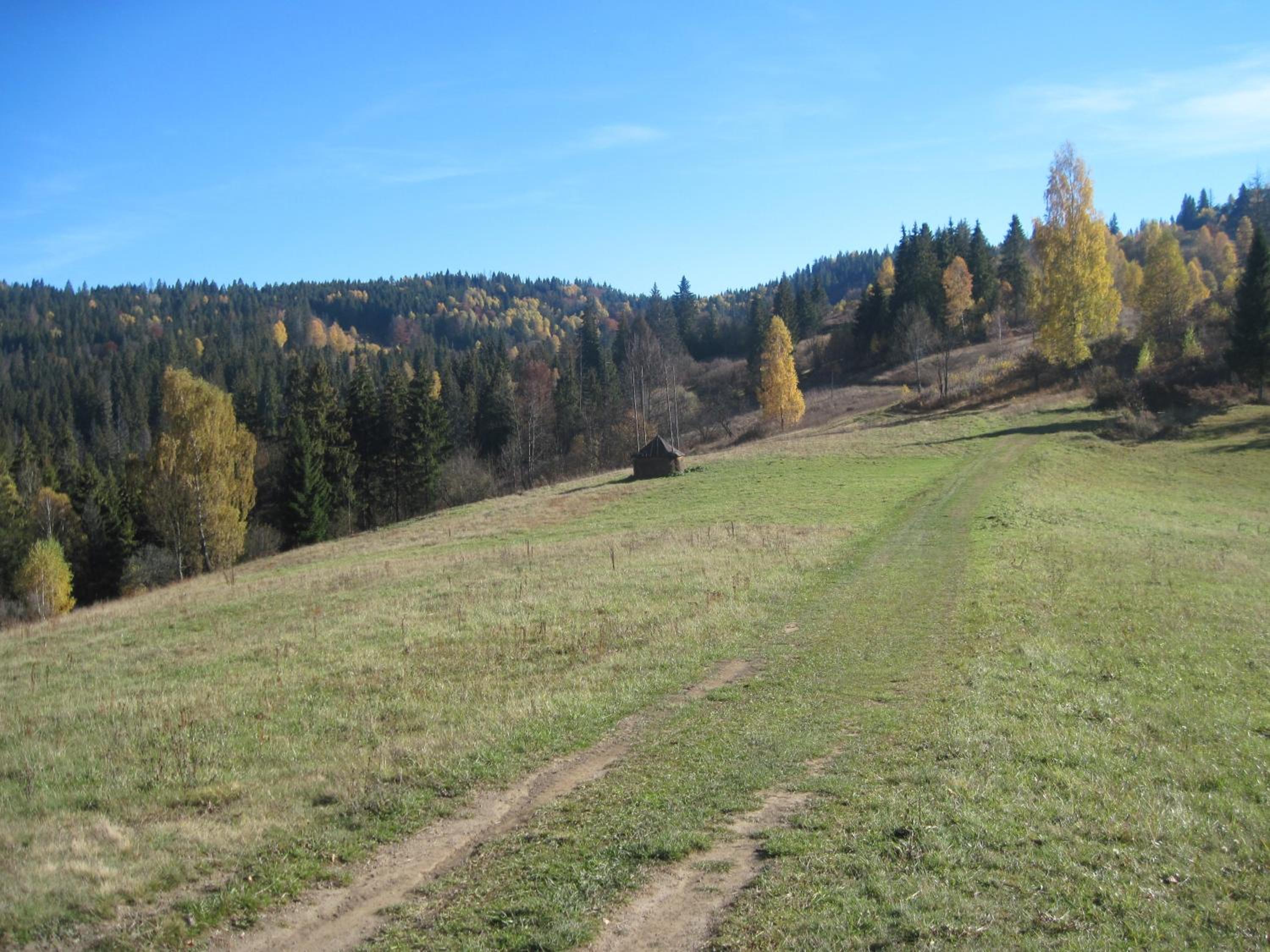 Photo 27