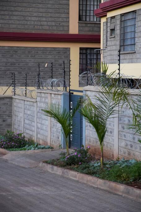 Edenville - Rongai view 3