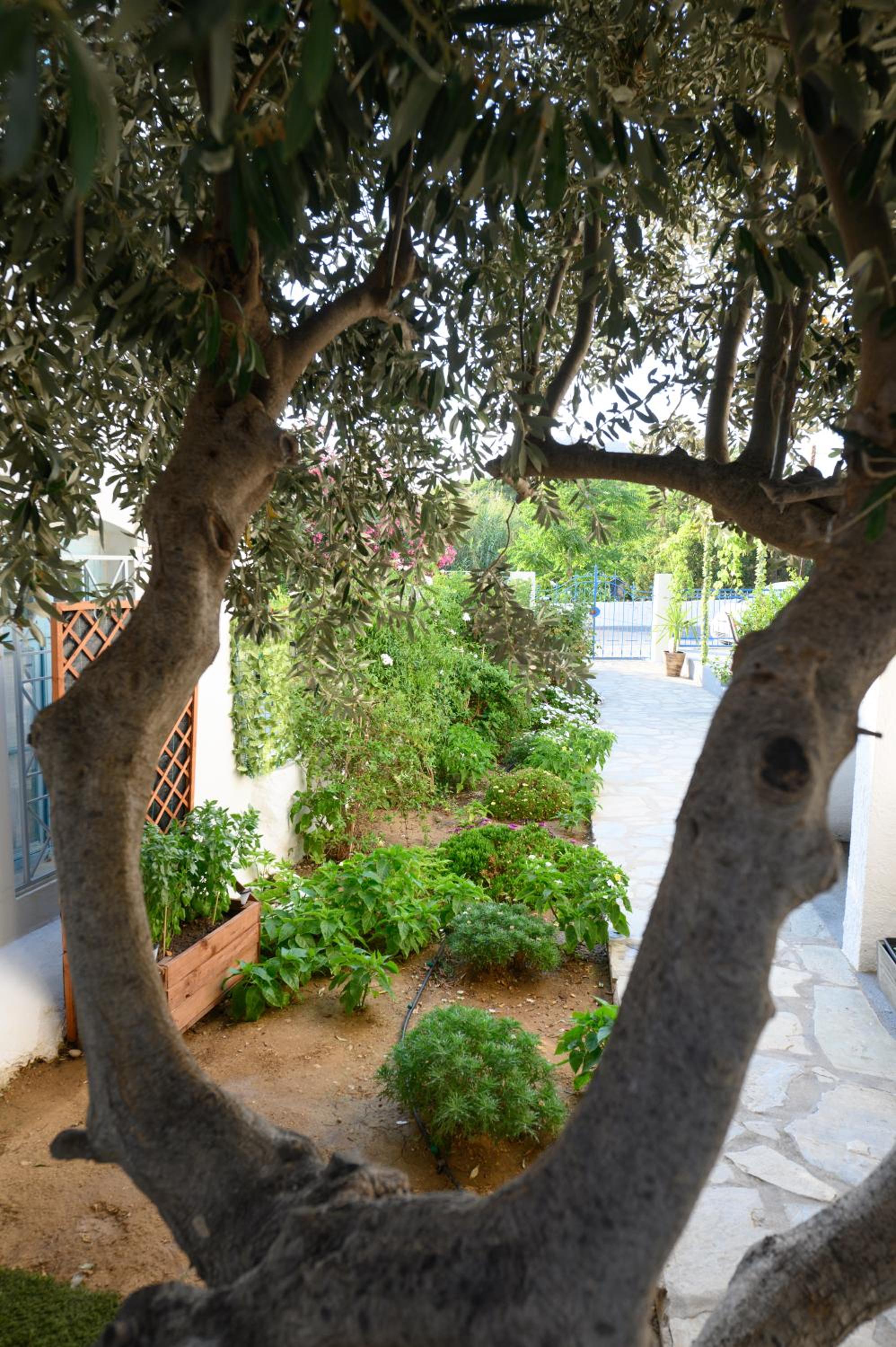 Verano Apartments
