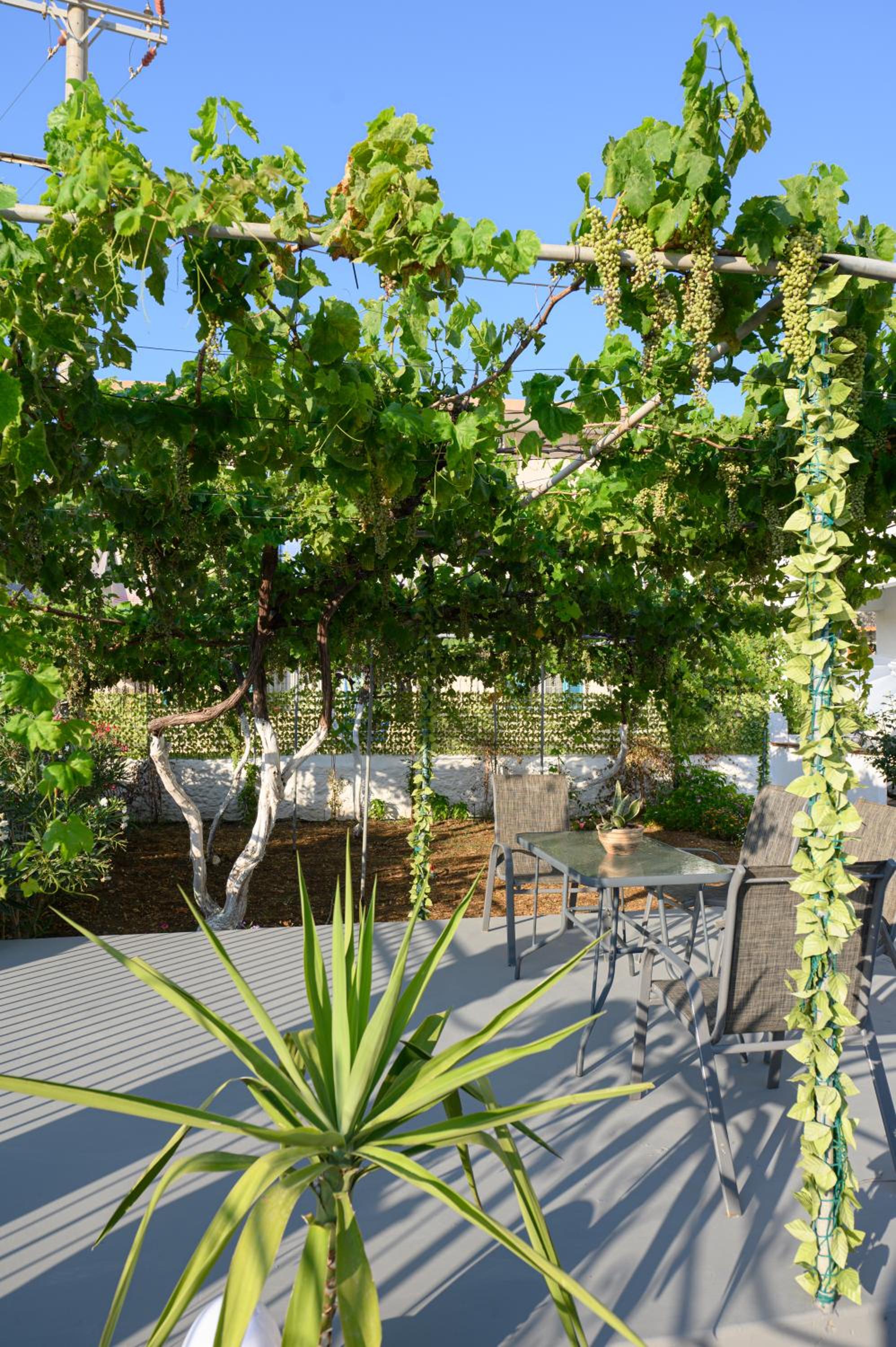 Verano Apartments