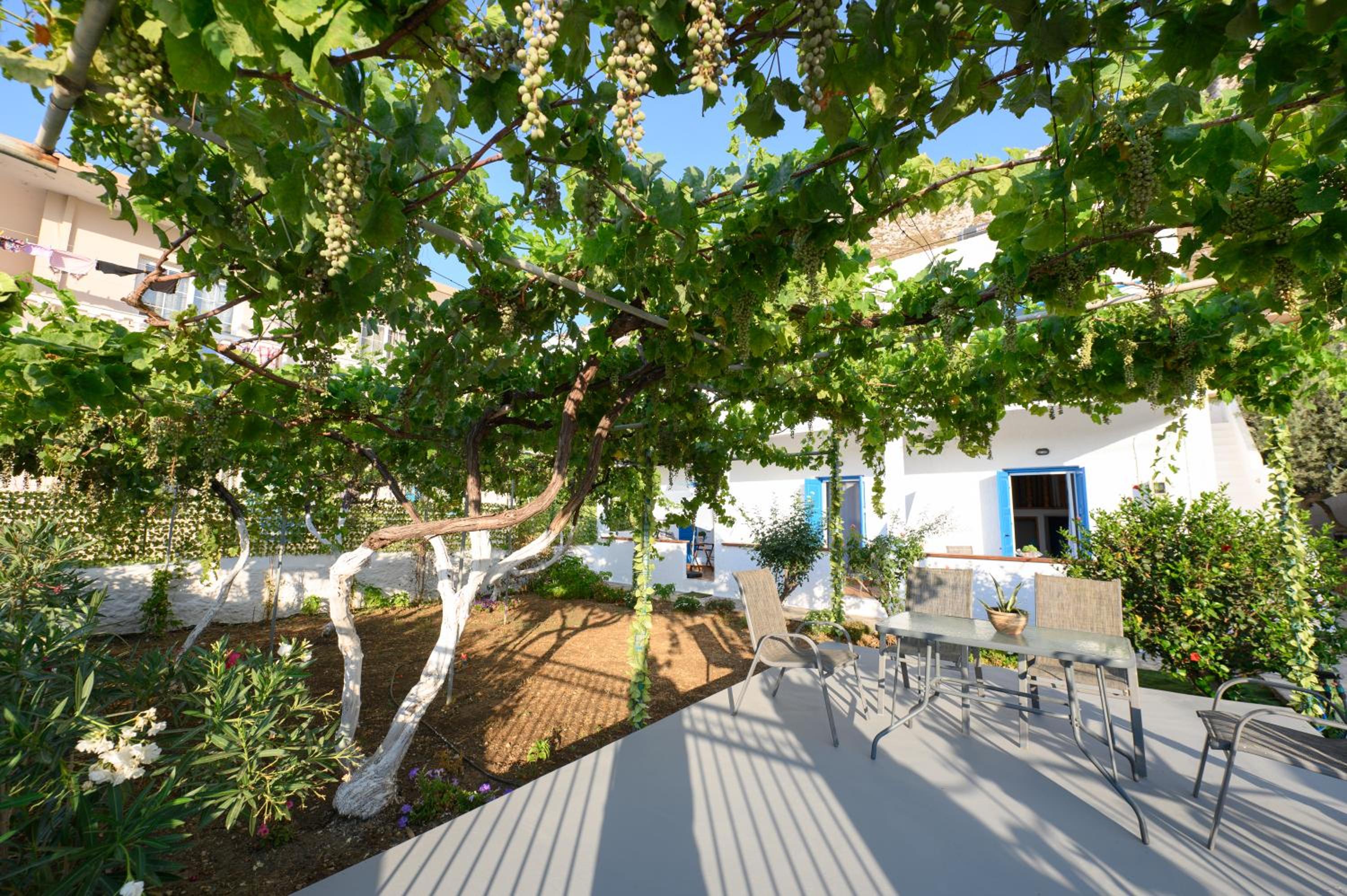 Verano Apartments