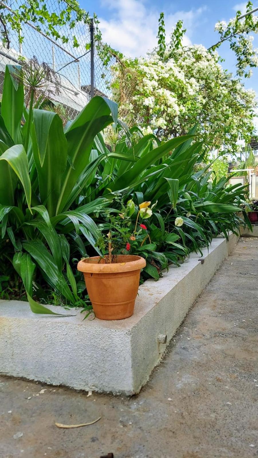 Lonavala Francis Villa Exclusive 4-Bedroom Family Retreat with Pool view 3