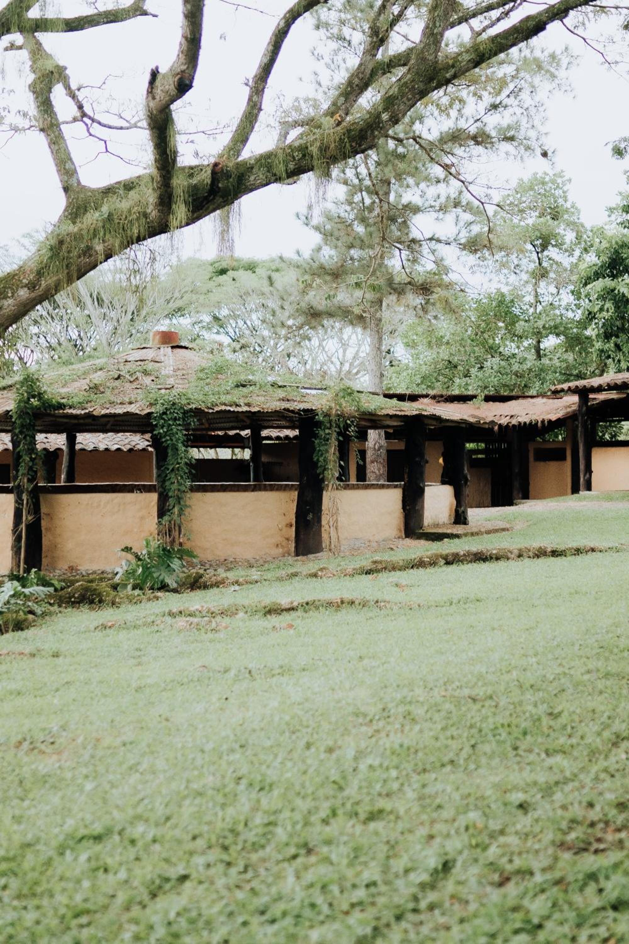 Hacienda La Tranquera