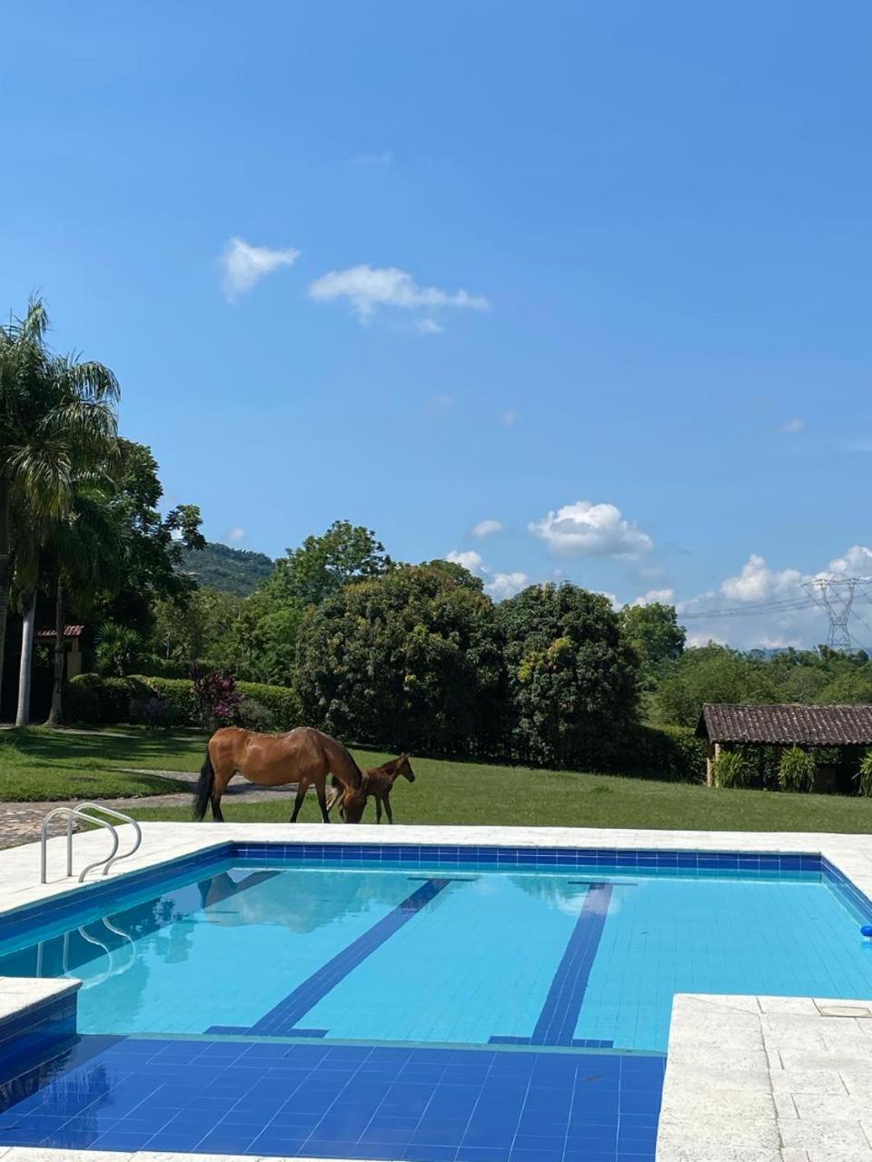 Hacienda La Tranquera