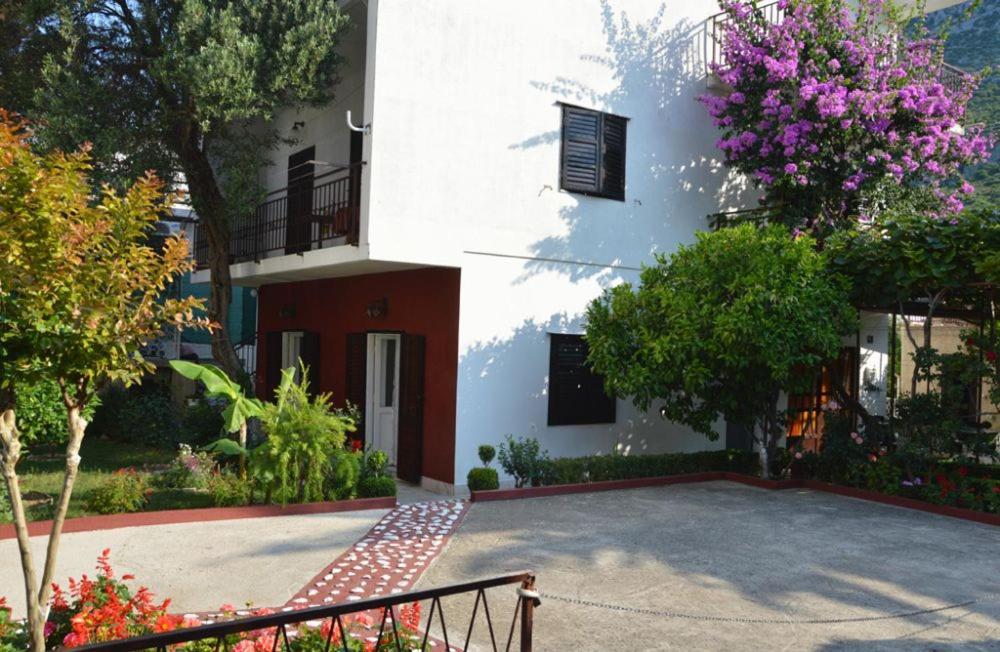 Apartments Vlado