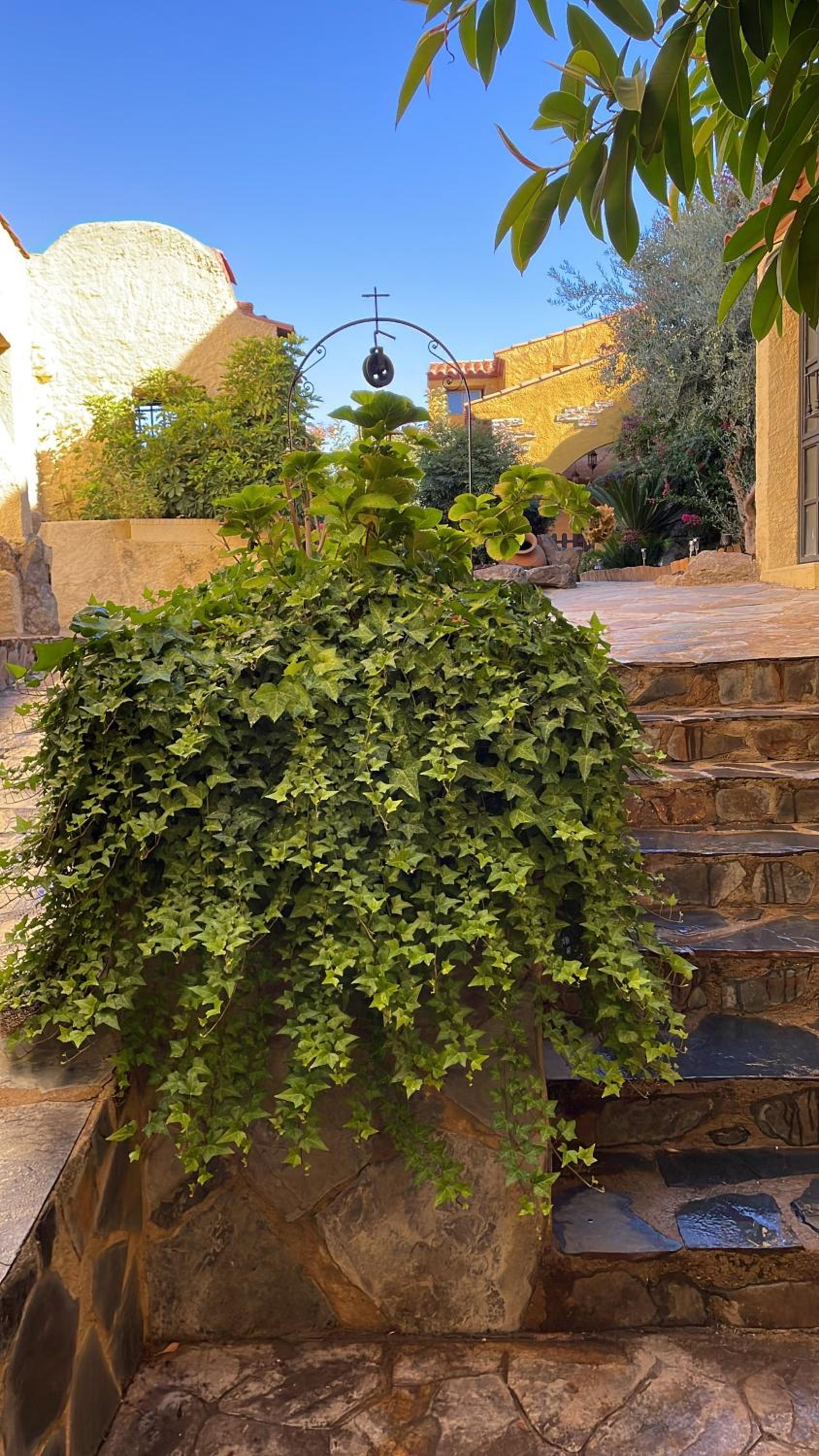 Casa Lares