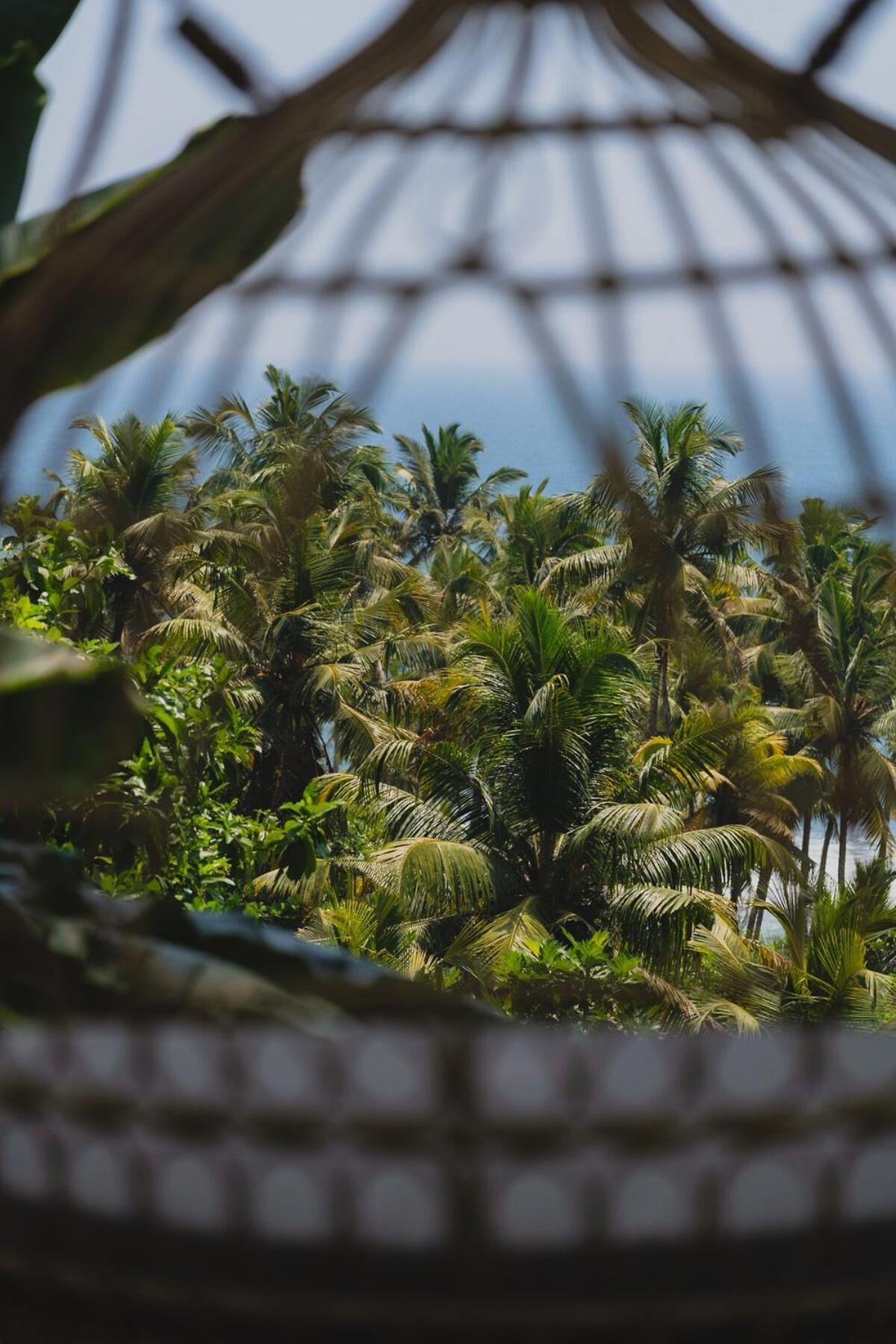 Amba Villa - Madiha Hill - NEW