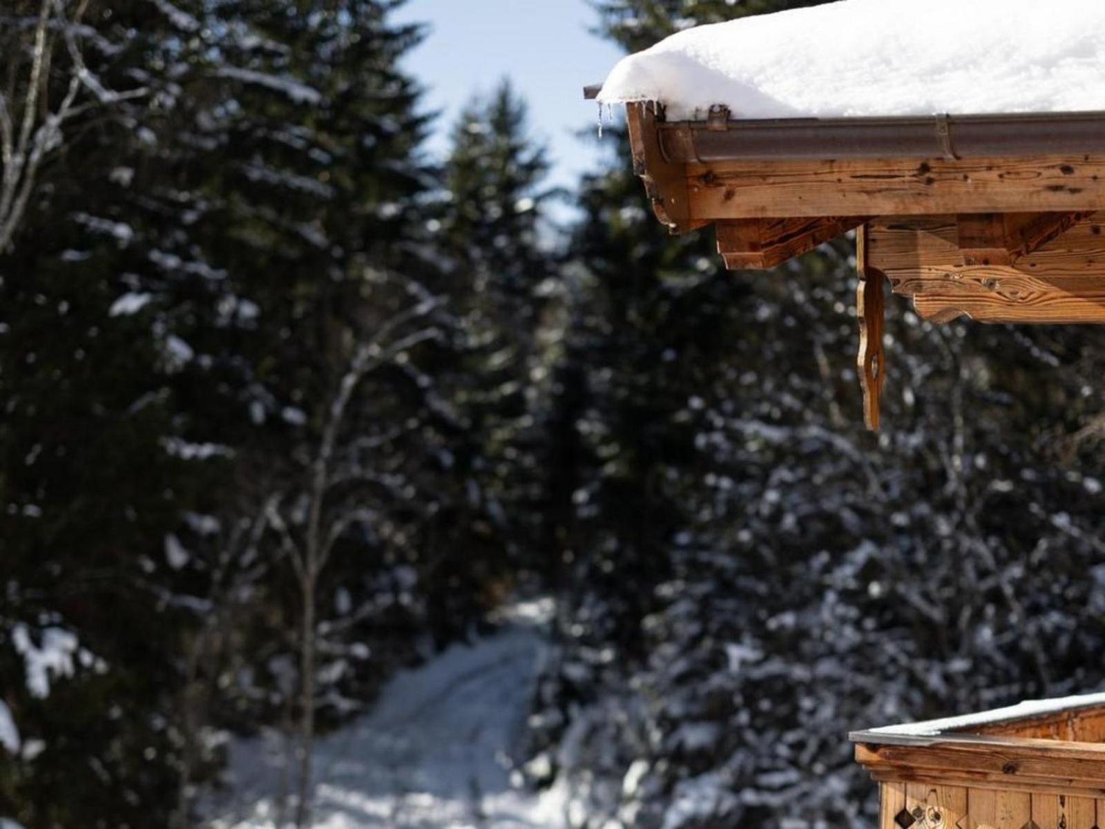 Nationalpark Chalet Blindis