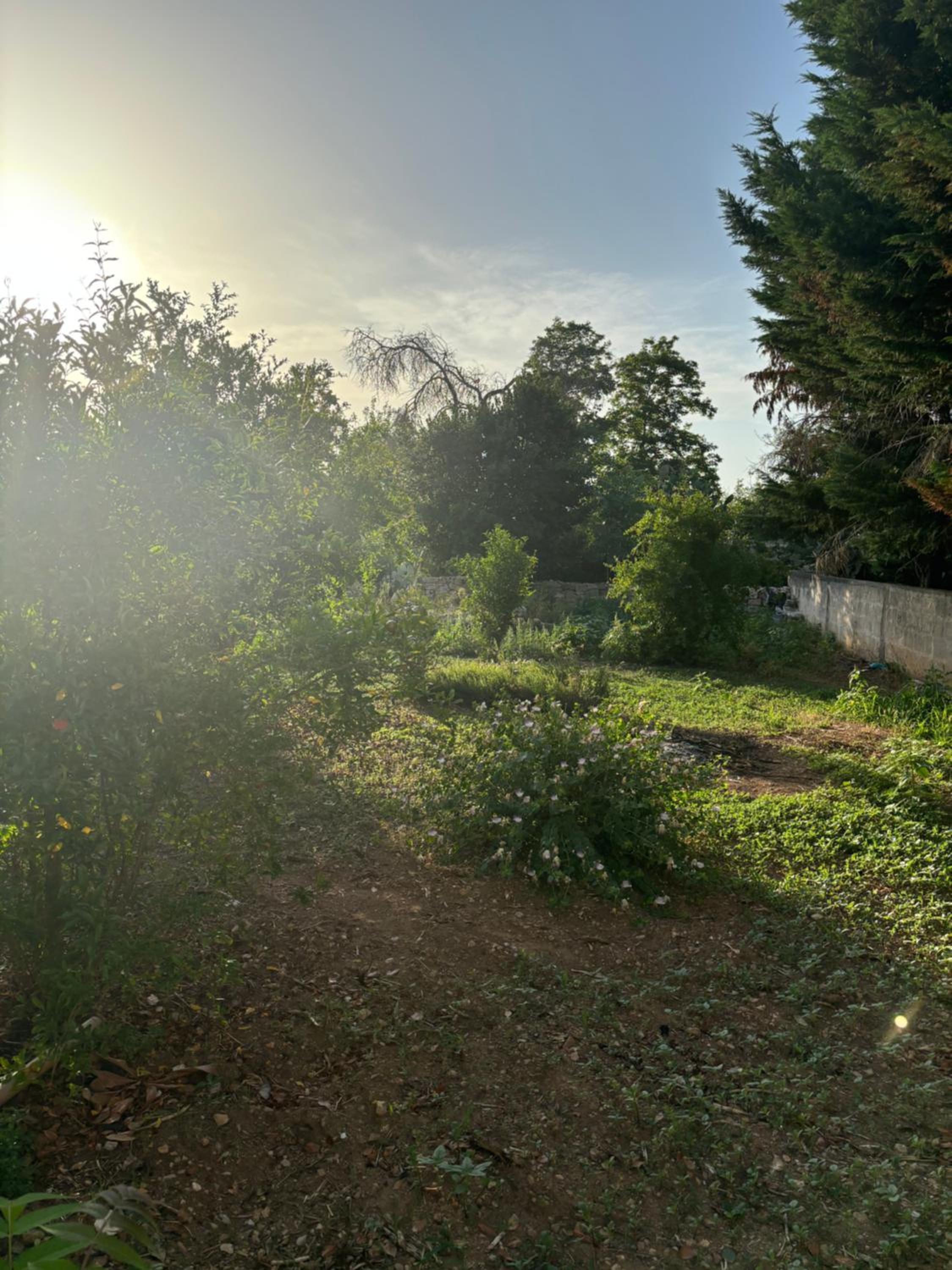 Casina IL MELOGRANO view 5