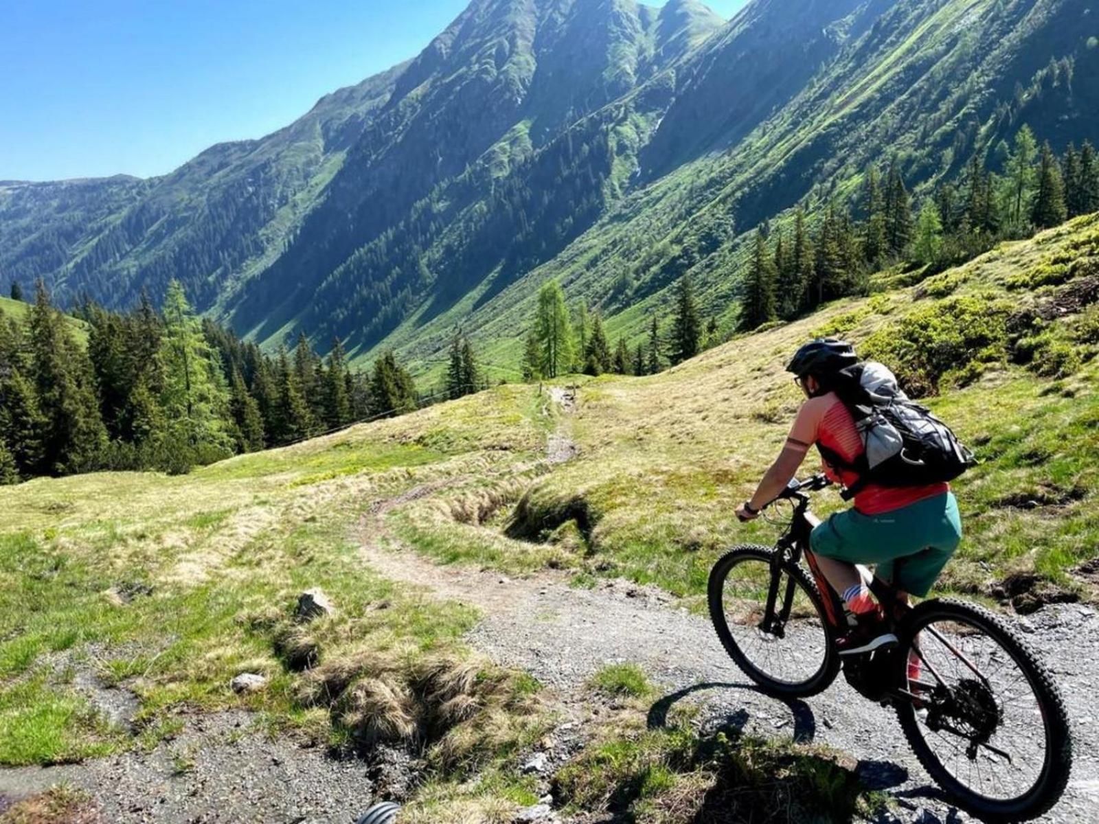 Nationalpark Chalet Kuhhaut