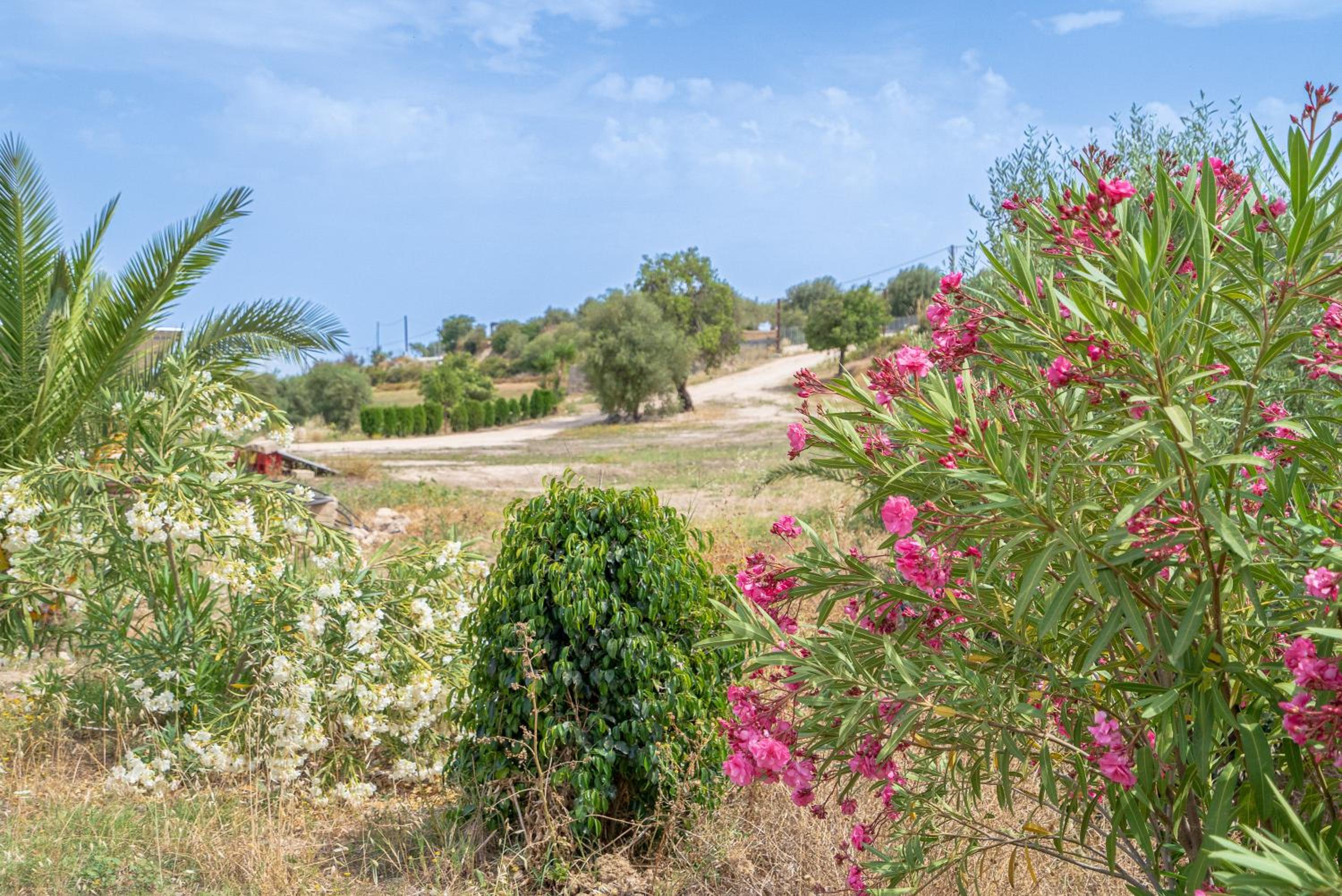 Imola Country House