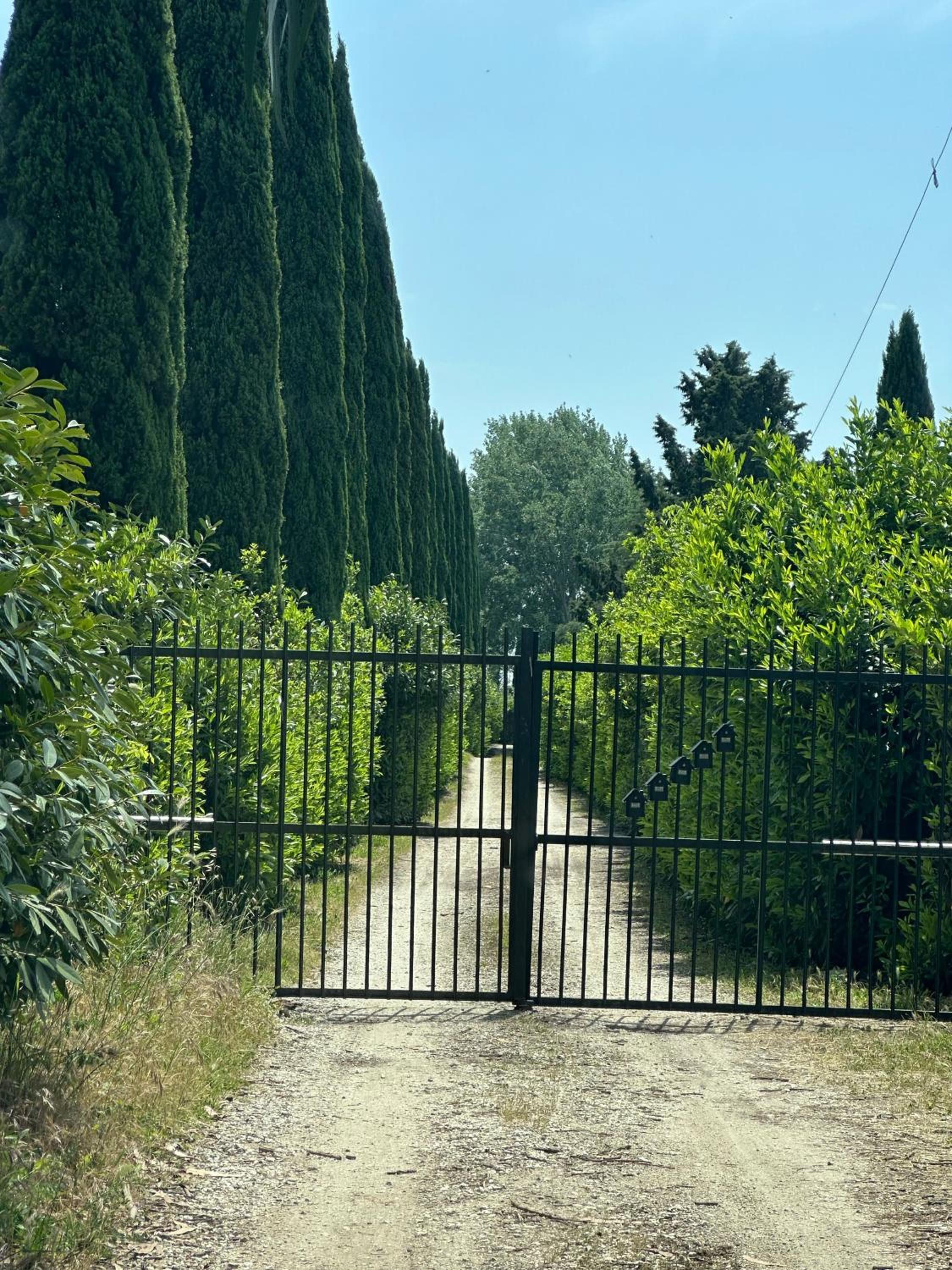 Room in Lodge - BB Love - Country House, Room Rent- Roma