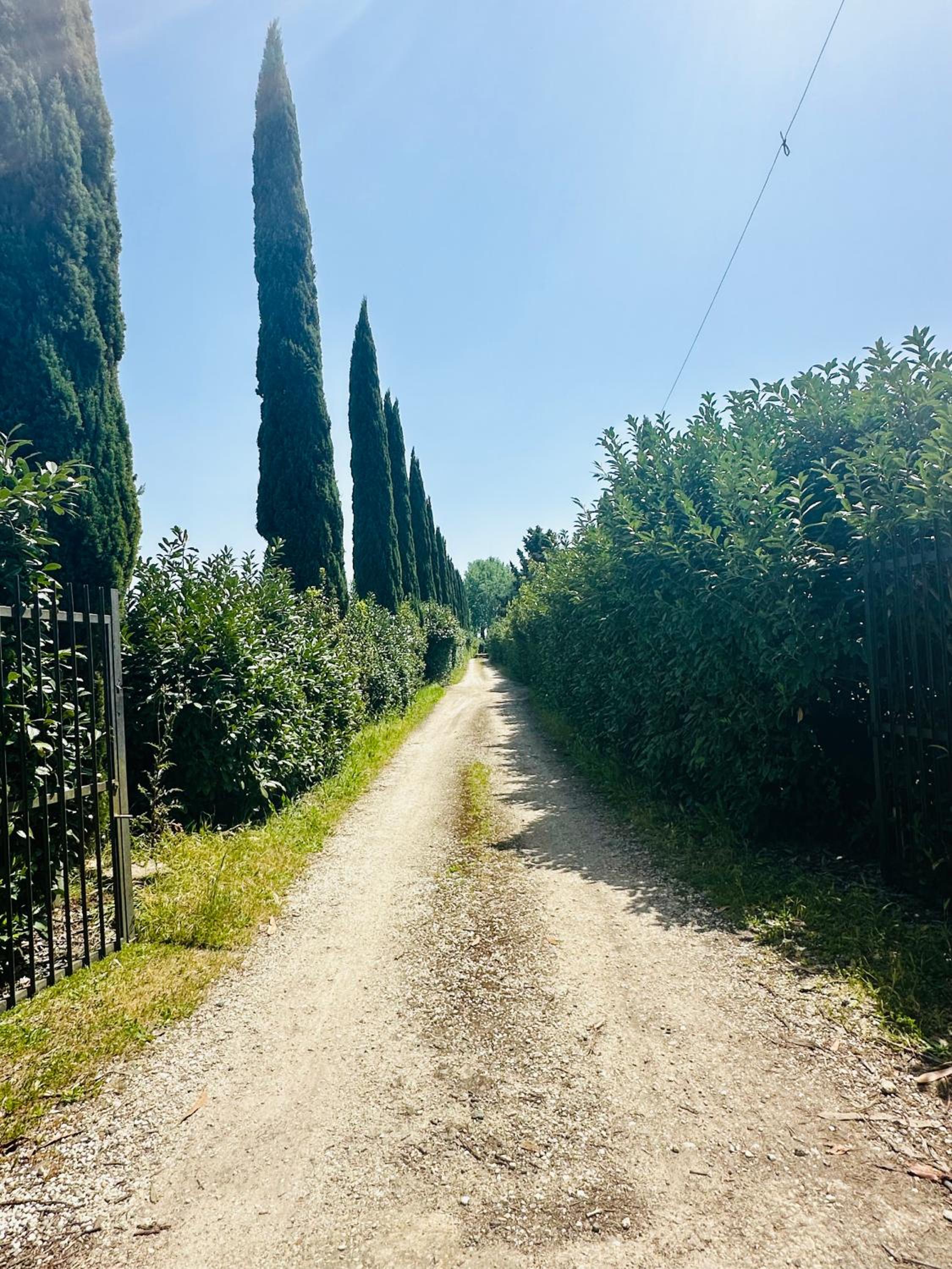 Room in Lodge - BB Love - Country House, Room Rent- Roma