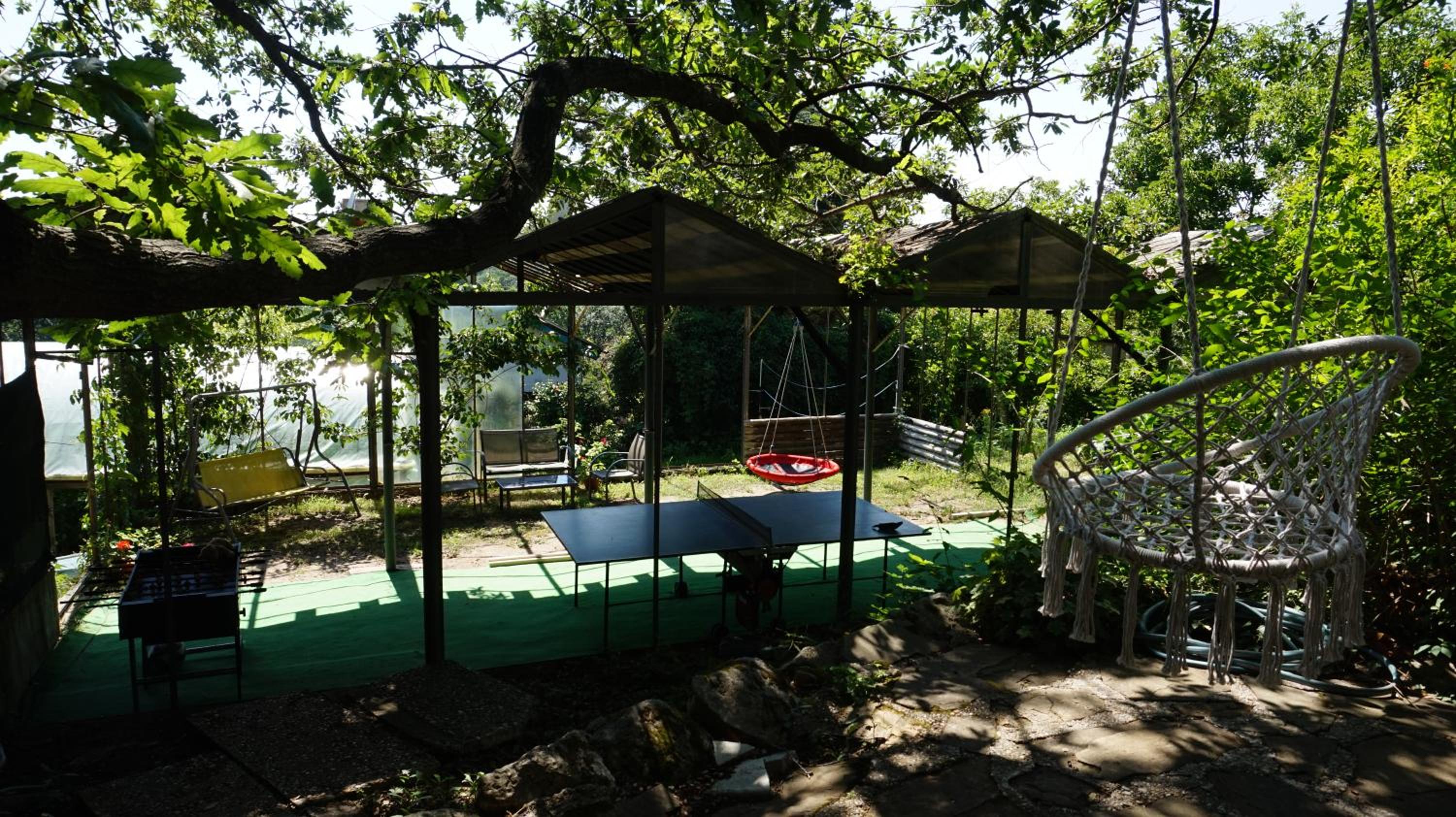 Forest house